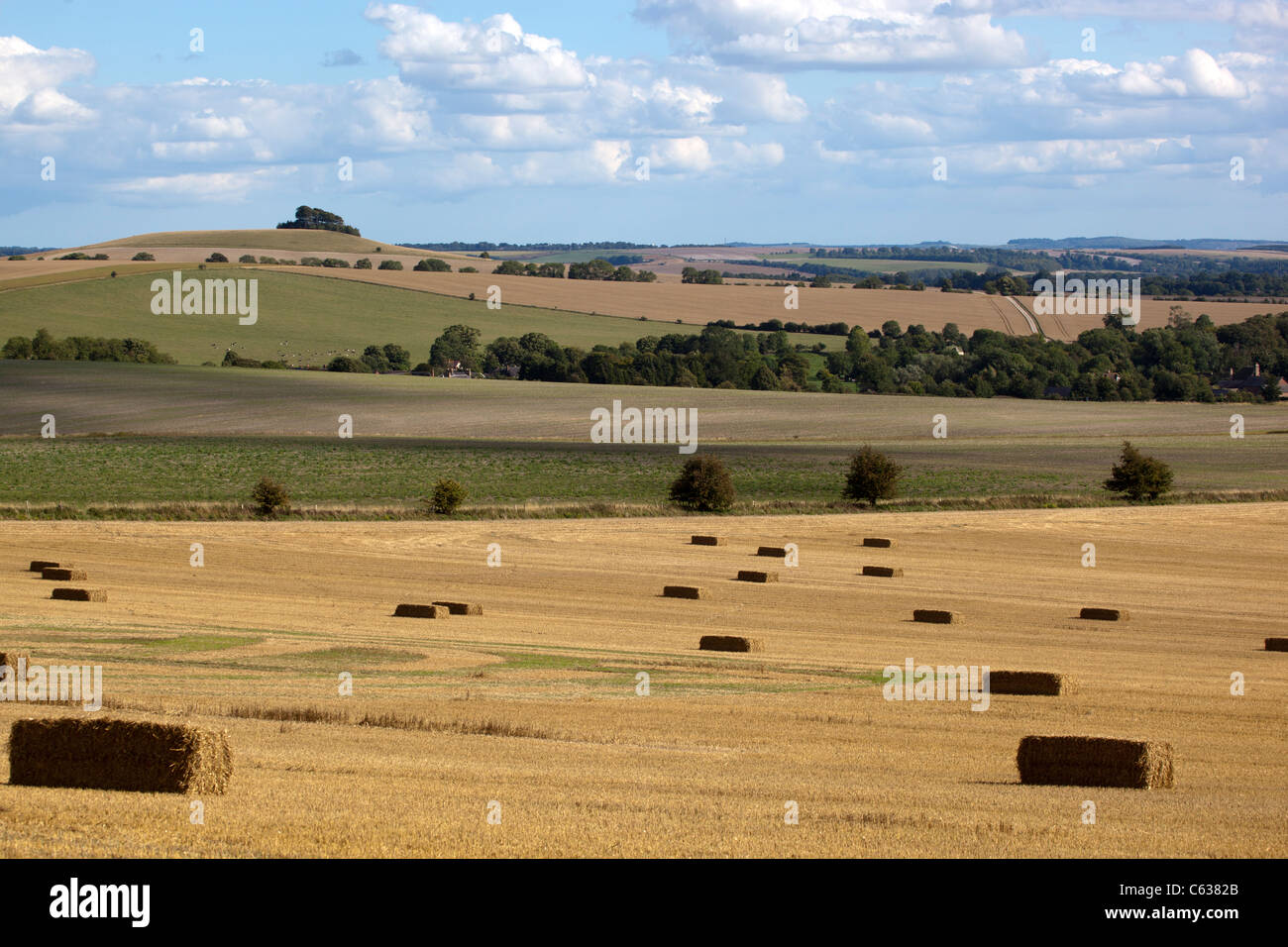 Geernteter Weizen-Felder mit Heuballen Stockfoto