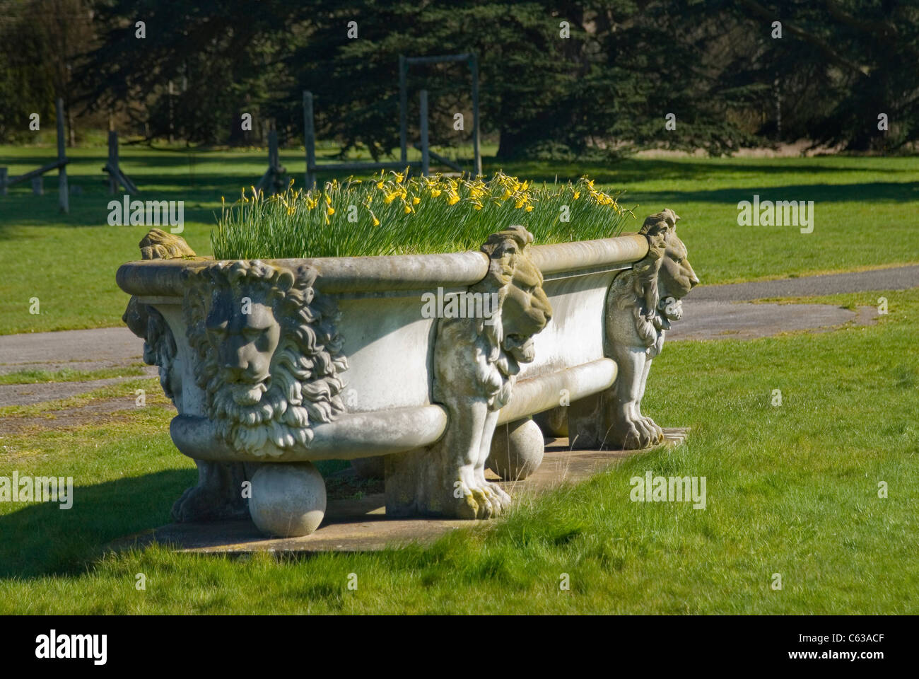 Großen alten Garten Trog voller Narzissen mit Löwen-Köpfen auf der Seite Stockfoto