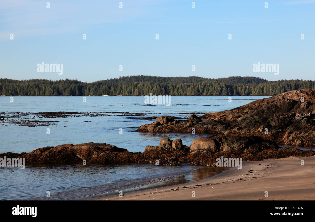 Sommermorgen an einem Strand in der Nähe von Tofino BC Kanada mit Blick auf das Wasser in Richtung Vargas island Stockfoto