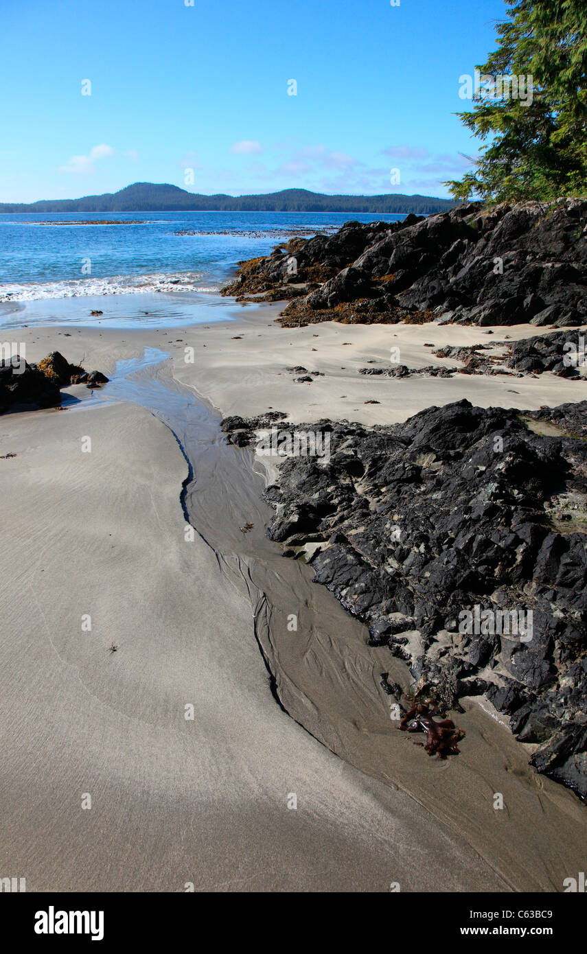 Frischwasser-Stream von Catface Berg in der Nähe von Tofino BC liefen zum Meer bei Ebbe an einem Sommertag Stockfoto