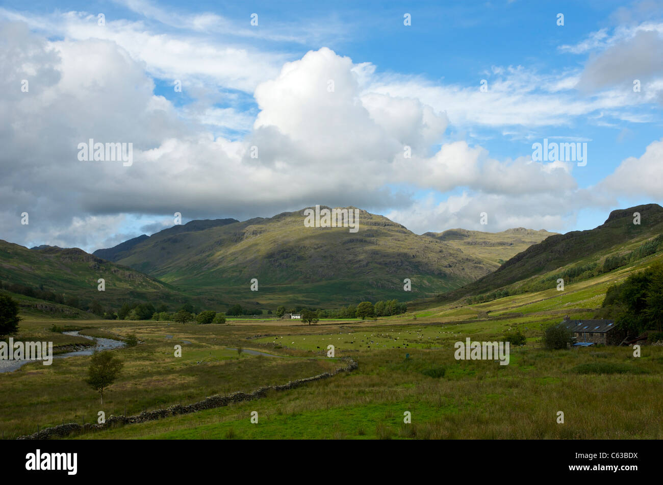 Die Spitze der Offshore-Tal, mit Blick auf Ulpha Fell und Cockley Beck, Nationalpark Lake District, Cumbria, England UK Stockfoto