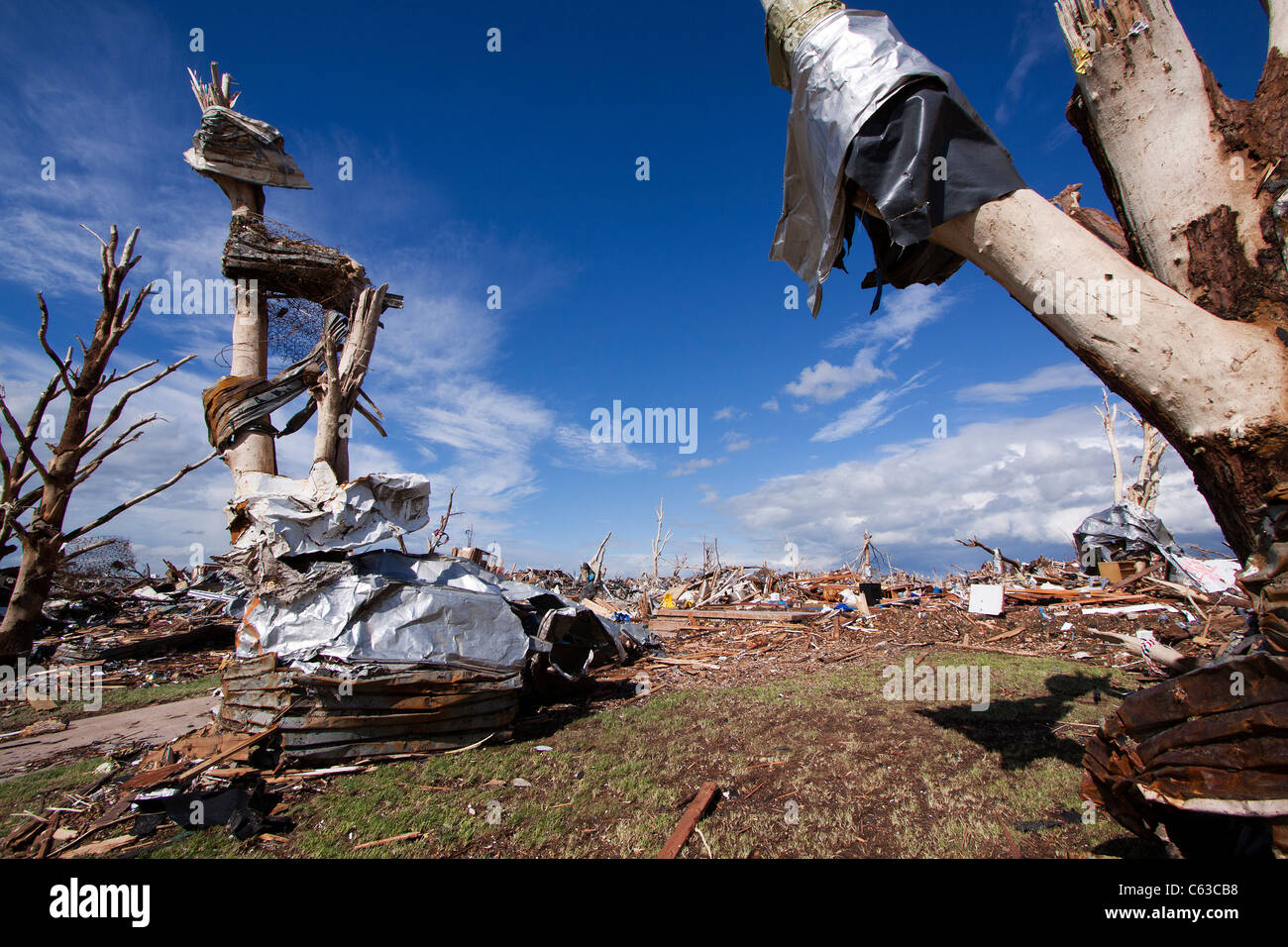 Trümmer umwickelt entrindetes Bäume nach einem Tornado in Joplin, Missouri, 25. Mai 2011. Stockfoto