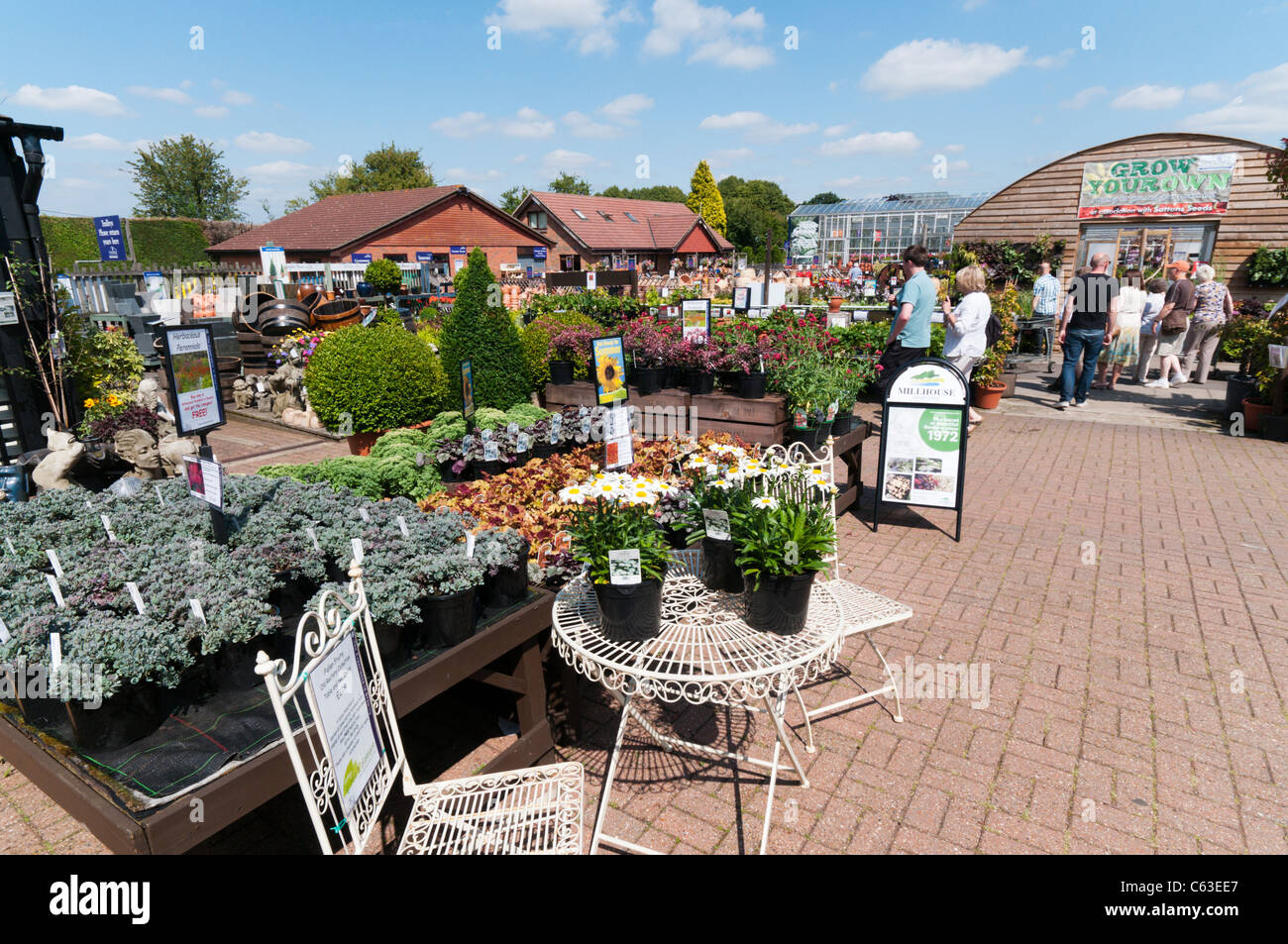 Kunden surfen die Pflanze zeigt in einem Temperierzeiten Garten-Center Stockfoto