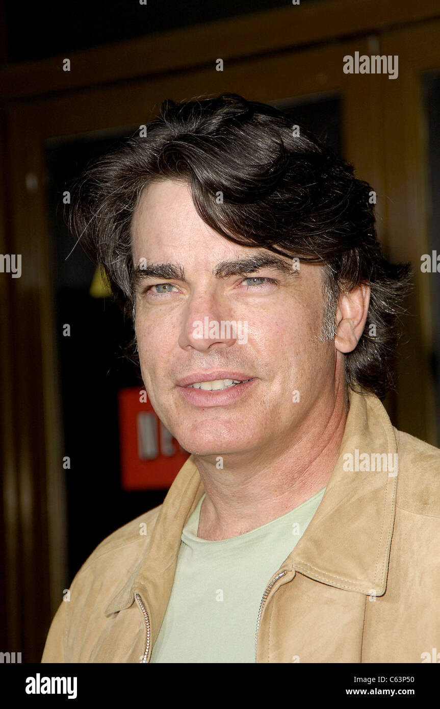Peter Gallagher im Ankunftsbereich für FAMILY GUY STEWIE GRIFFIN: THE UNTOLD STORY DVD Party, Manns National Theatre, Los Angeles, Kalifornien, 27. September 2005. Foto von: Michael Germana/Everett Collection Stockfoto