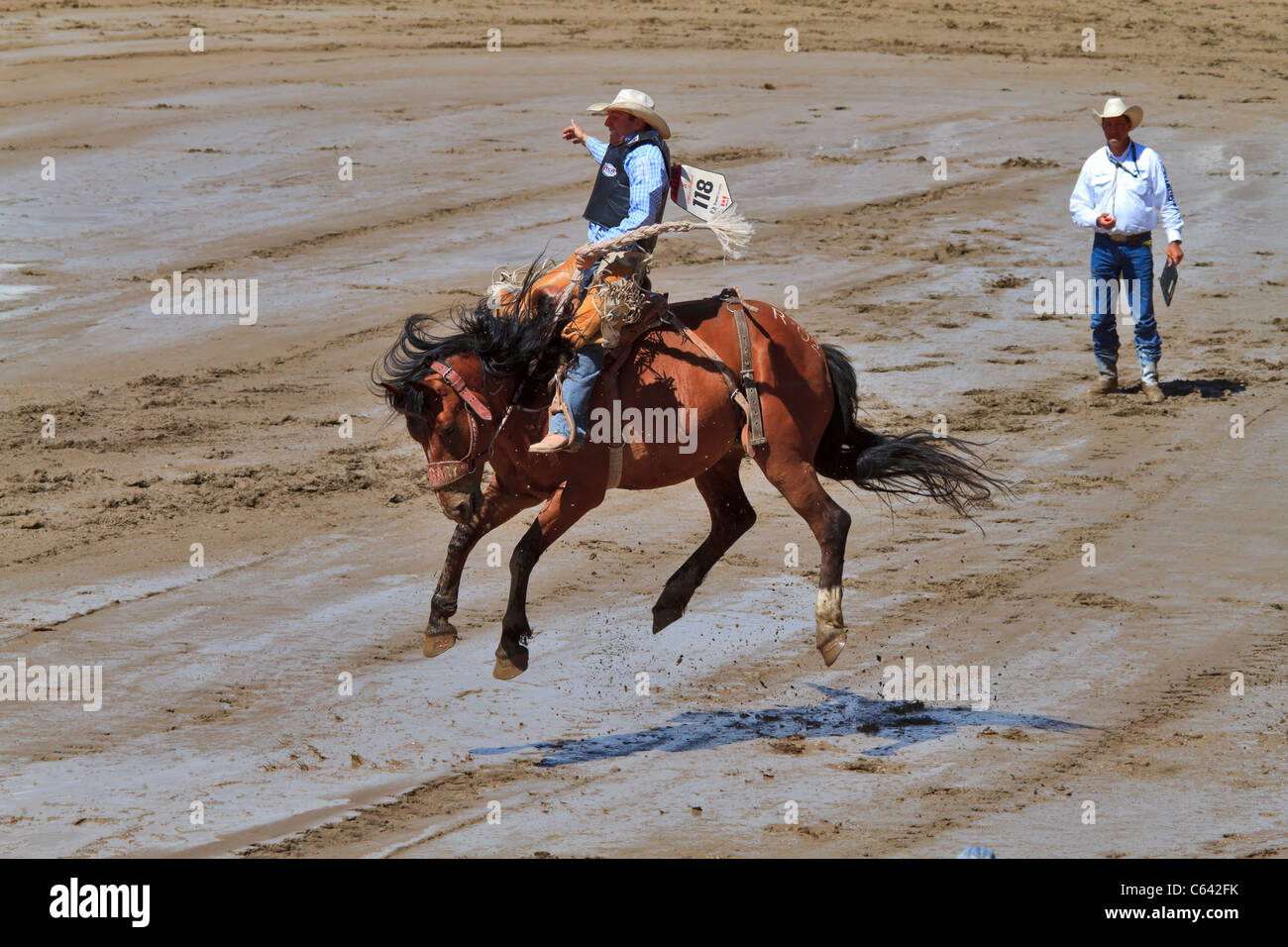 Sattel Bronc Reiten Veranstaltung bei der Calgary Stampede, Kanada. Stockfoto