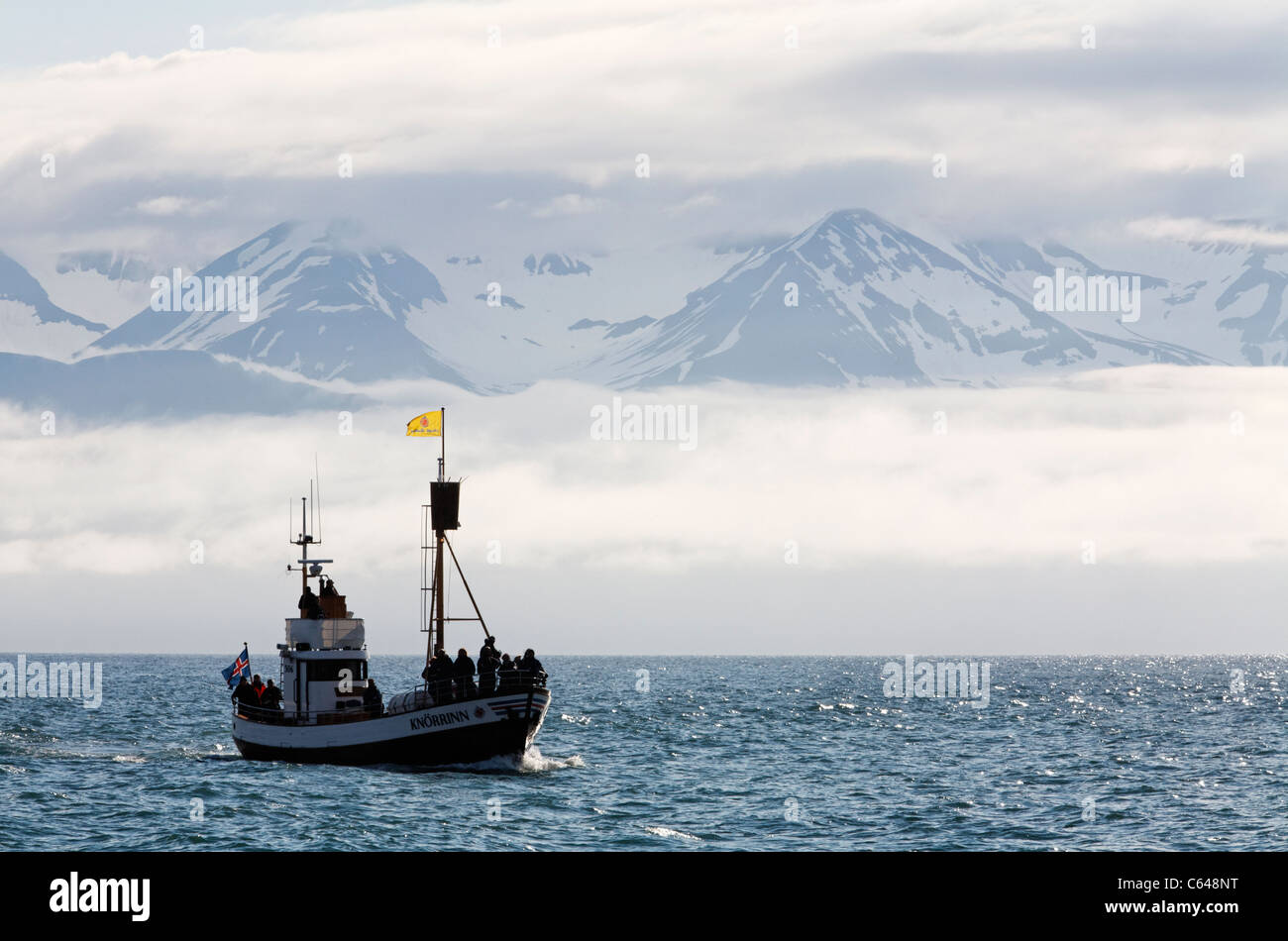 Whale-watching Boot in Skjalfandi Bay, Husavik, Island Stockfoto
