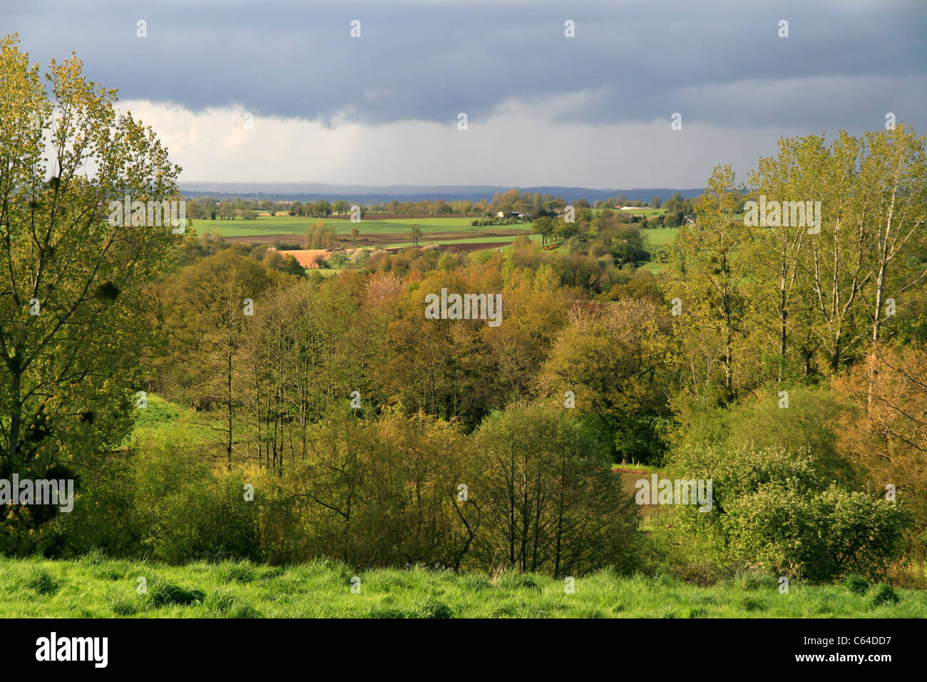 Grünland im Frühjahr, waldreiche Landschaft (Norden Mayenne, Pays de la Loire, Frankreich, Europa). Stockfoto