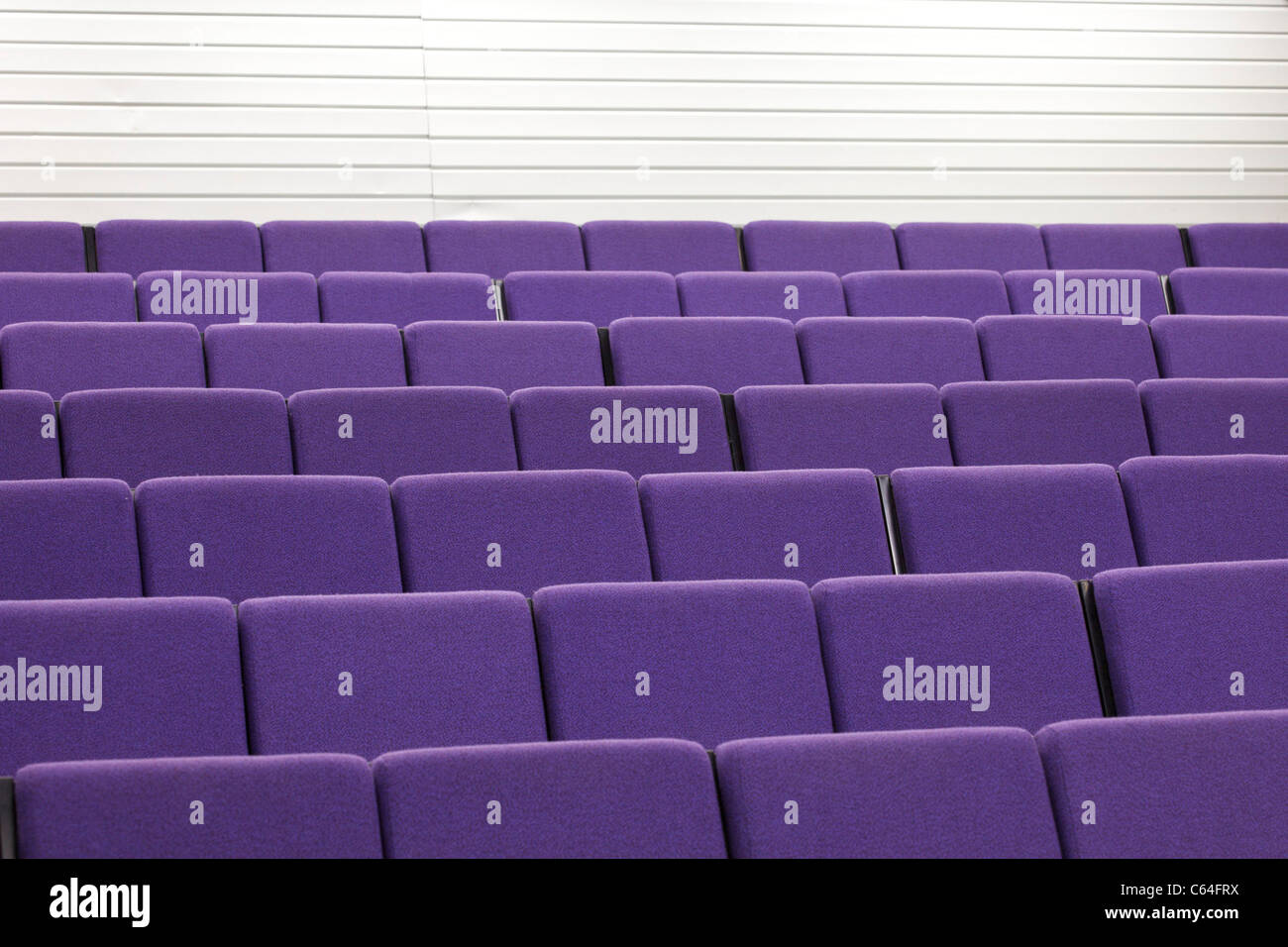 Lila Stuhlreihen in einen Hörsaal mit weißen Wänden Stockfoto