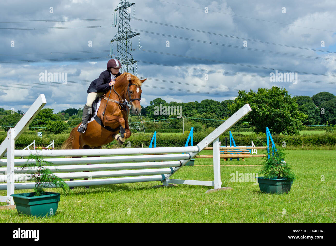 Reiter und Pferd Springreiten Stockfoto