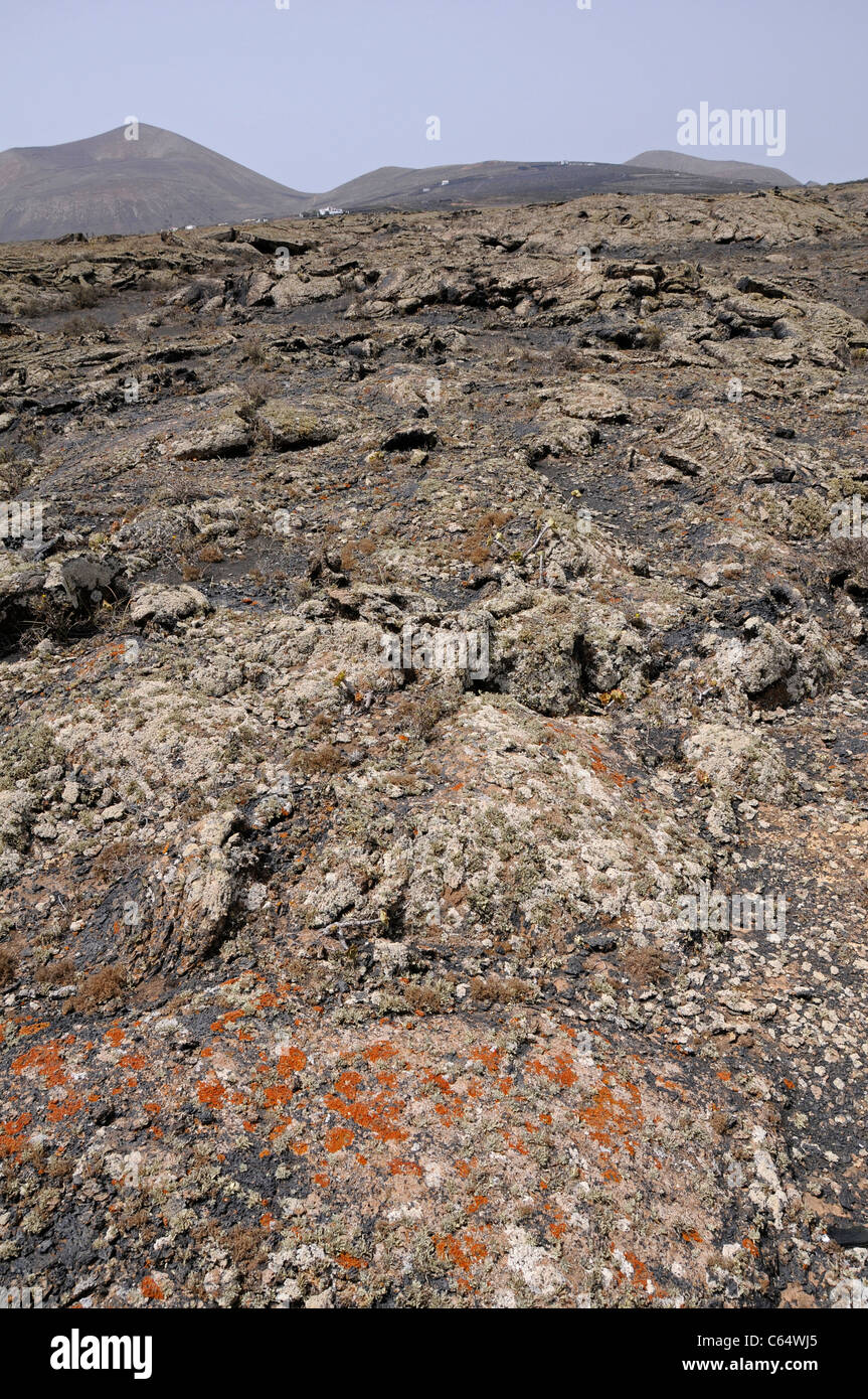 Lavafeld mit Flechten und Vulkankegel, Timanfaya-Nationalpark, Lanzarote, Kanarische Inseln, Spanien Stockfoto