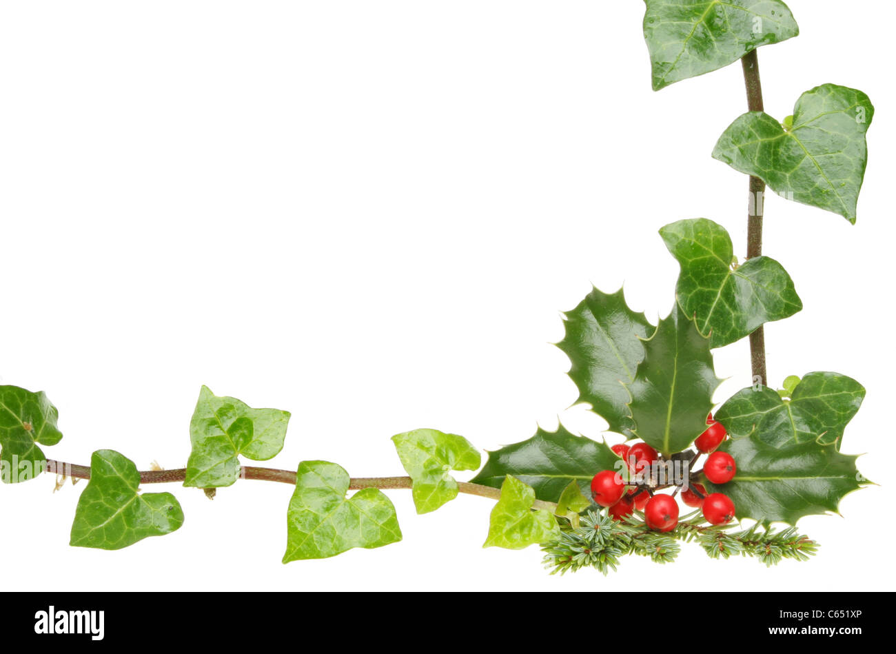Weihnachten unter dem Motto Grenze von Holly und Ivy mit weißem Textfreiraum Stockfoto