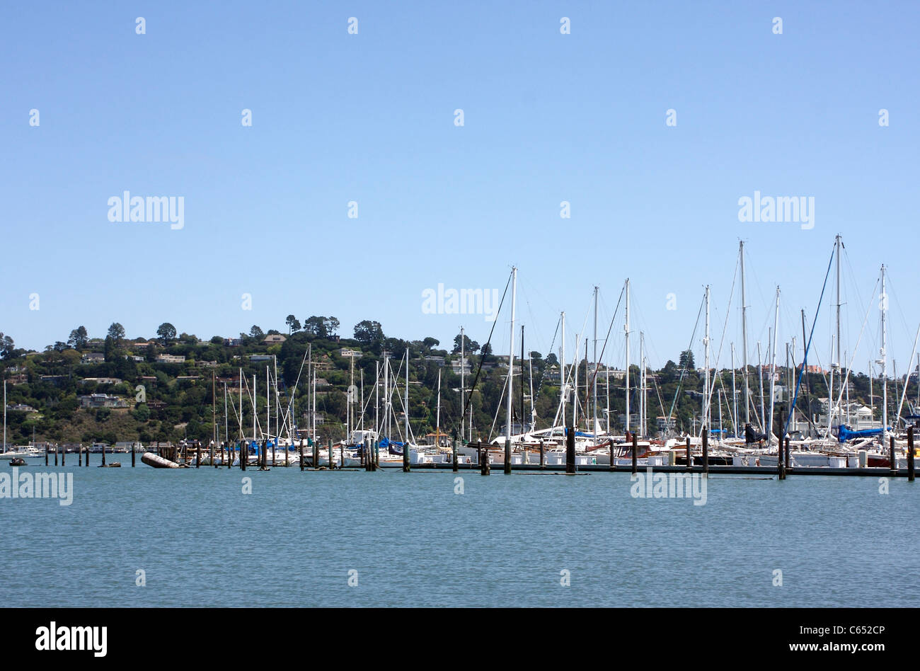 Boote vor Anker in einer Marina in Sausalito, Kalifornien, mit Belvedere im Hintergrund Stockfoto