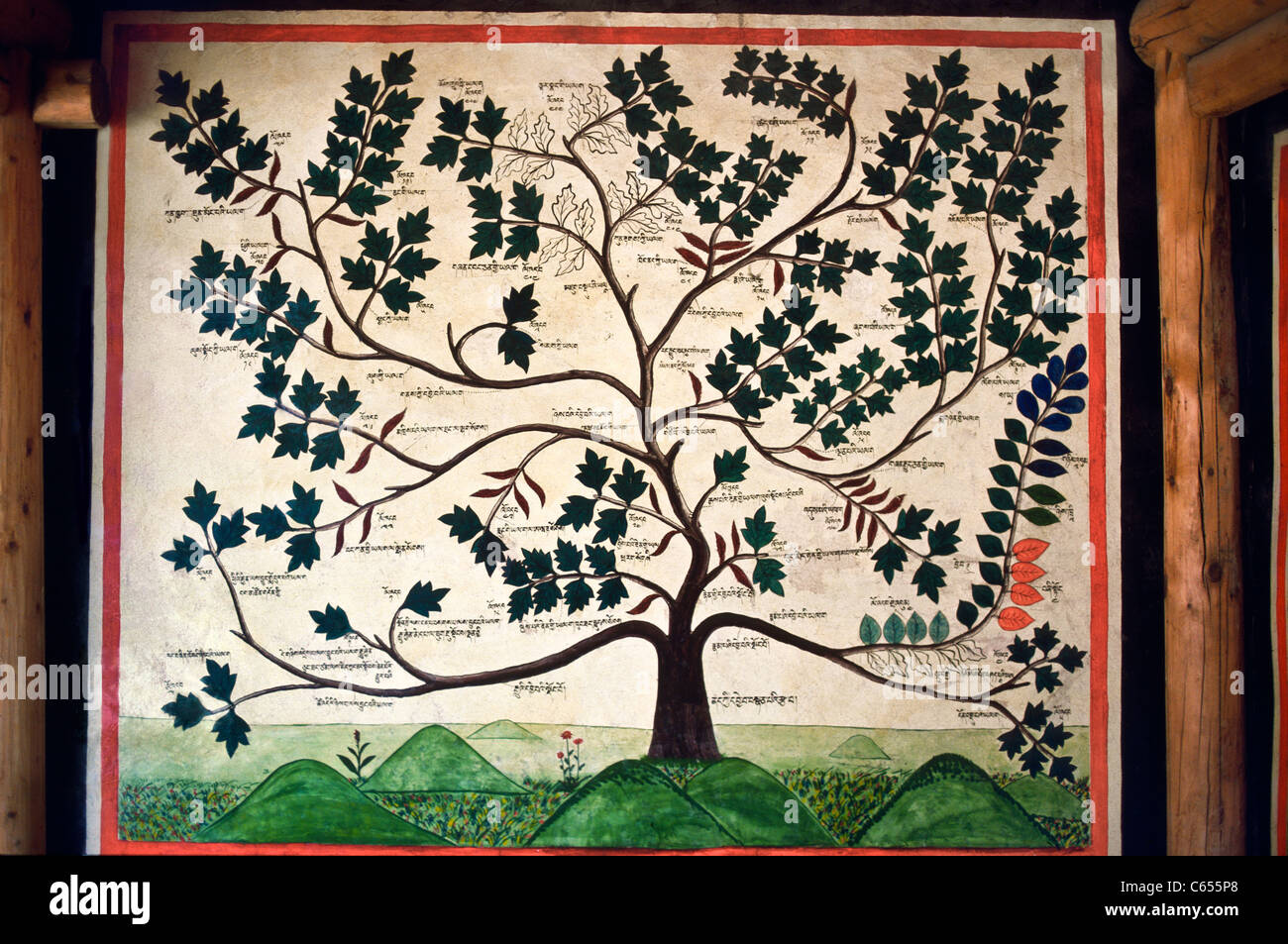 Bildende Kunst, medizinische Kräuter Baum, Malerei, Labrang Kloster, Xiahe Grafschaft, Gansu Provinz, China, Asien Stockfoto