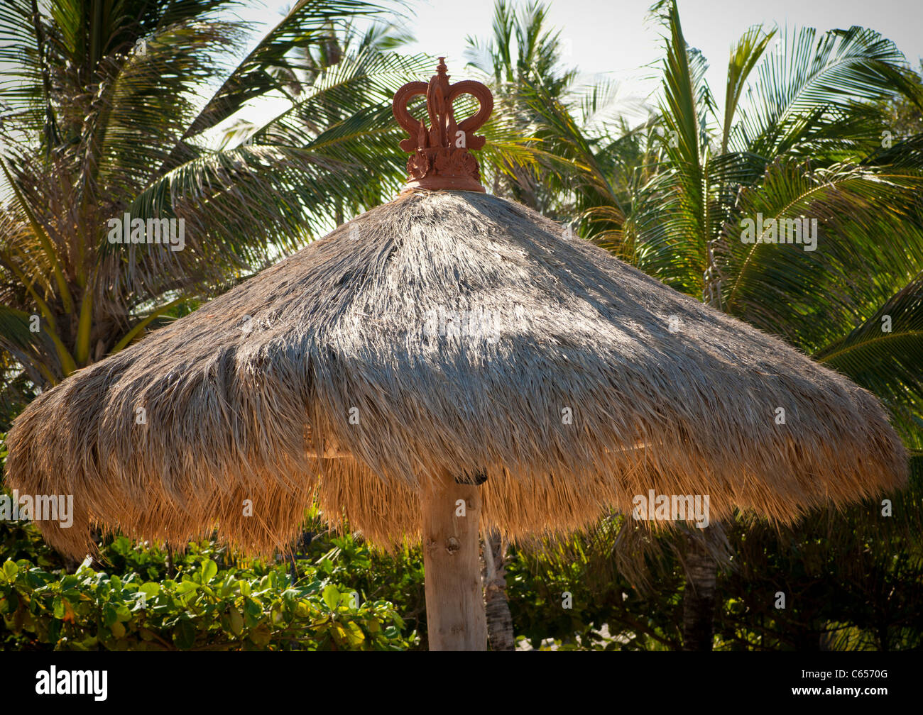 Grasschirm mit Palmen in der Ferne. Stockfoto