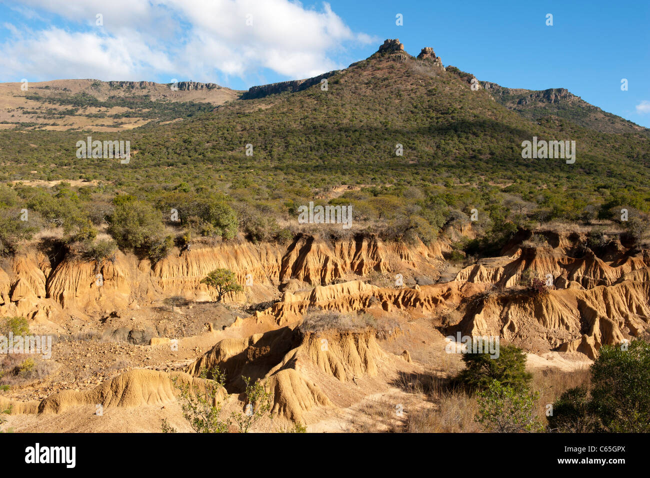 Boden-Erosion, Ithala Game Reserve, Südafrika Stockfoto