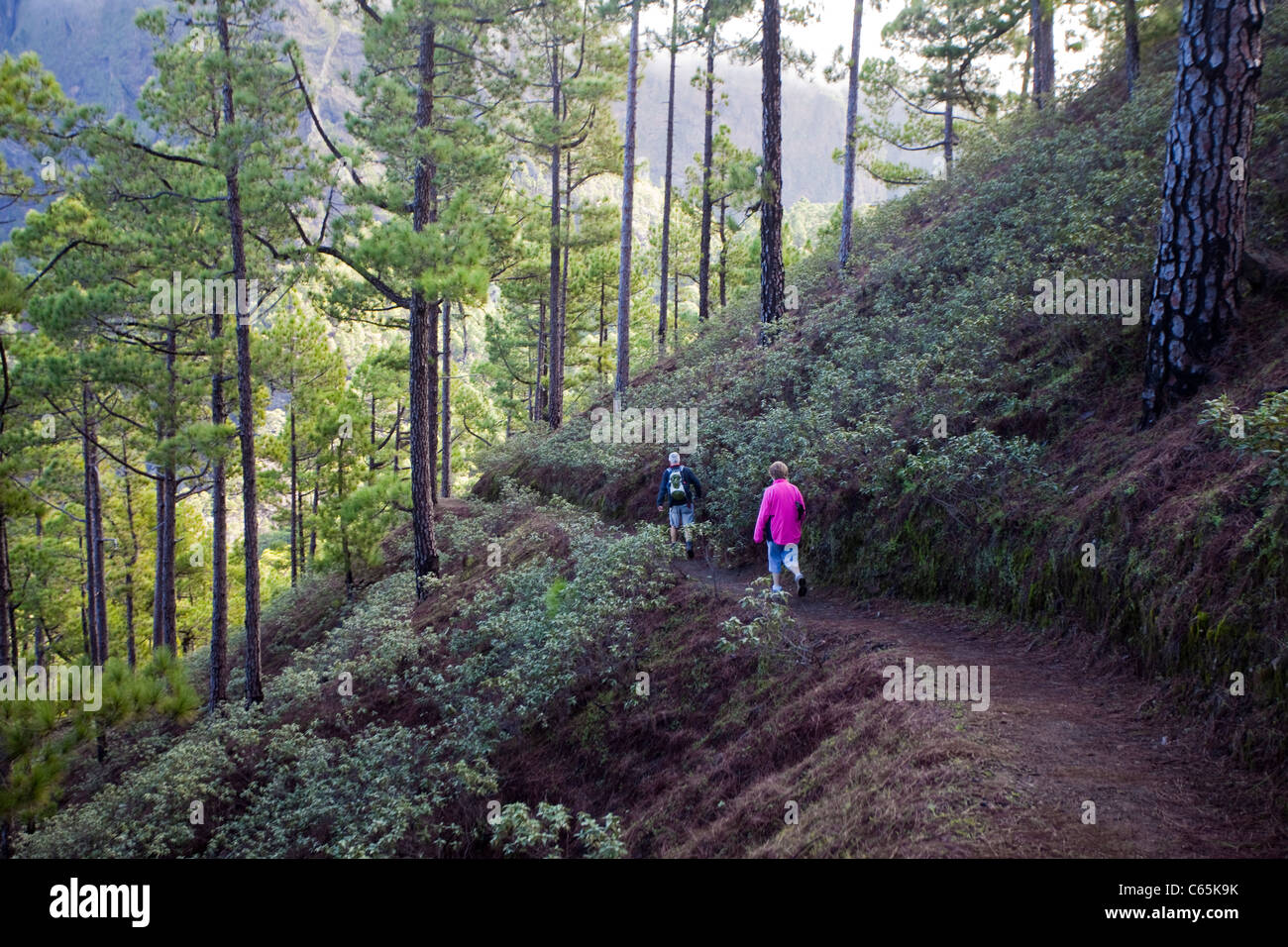 Wanderer im Nationalpark Caldera de Taburiente, Insel La Palma, Kanarische Inseln, Spanien, Europa Stockfoto