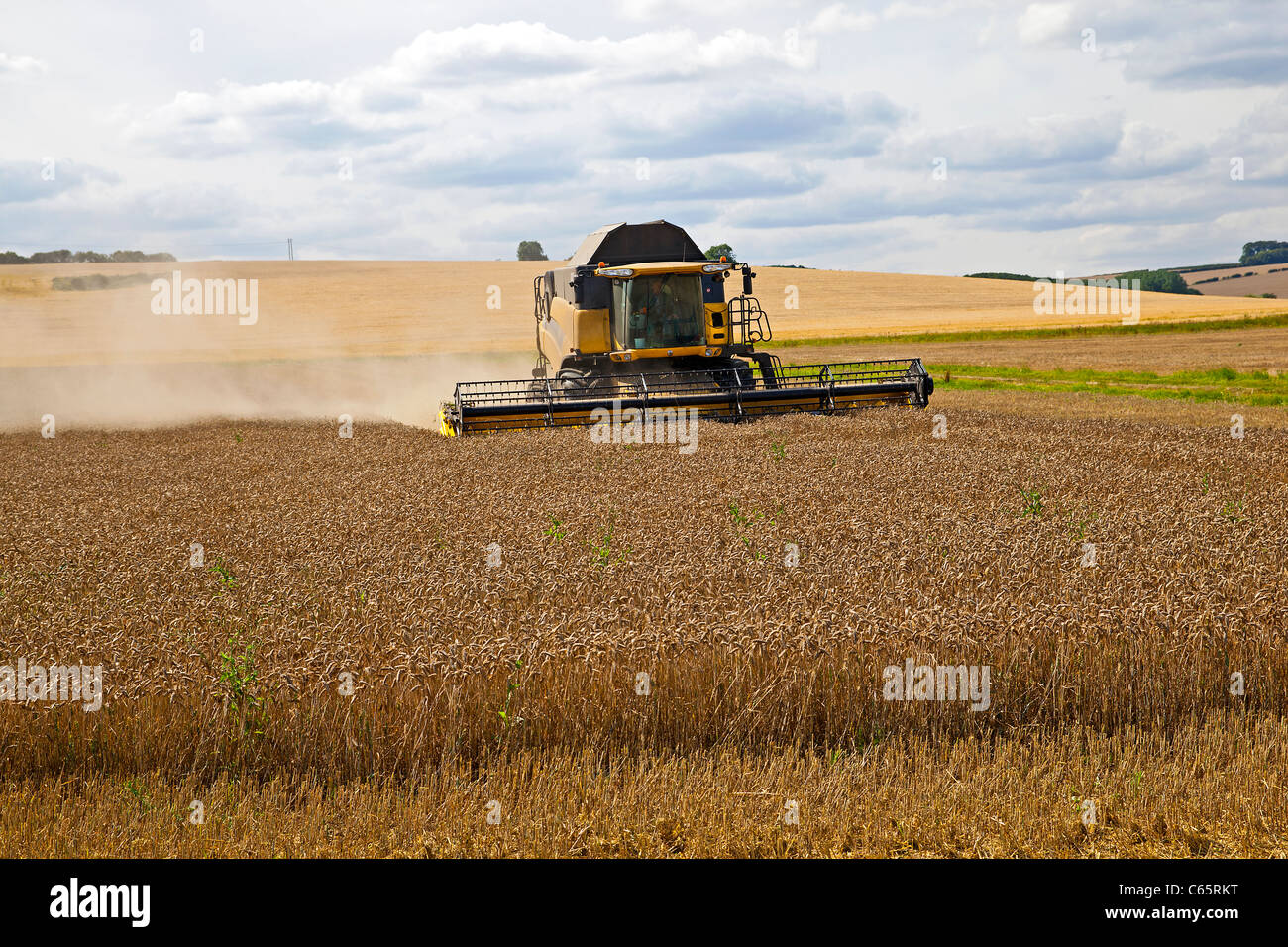 Harvester schneiden Weizen in Lincolnshire Wolds kombinieren Stockfoto