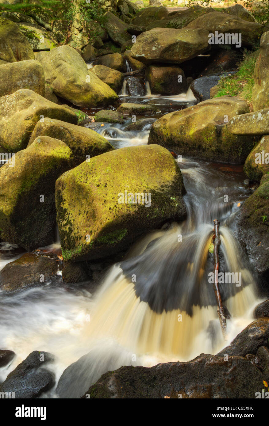 Burbage Brook, Burbage Moor, Dark Peak, Peak District Stockfoto