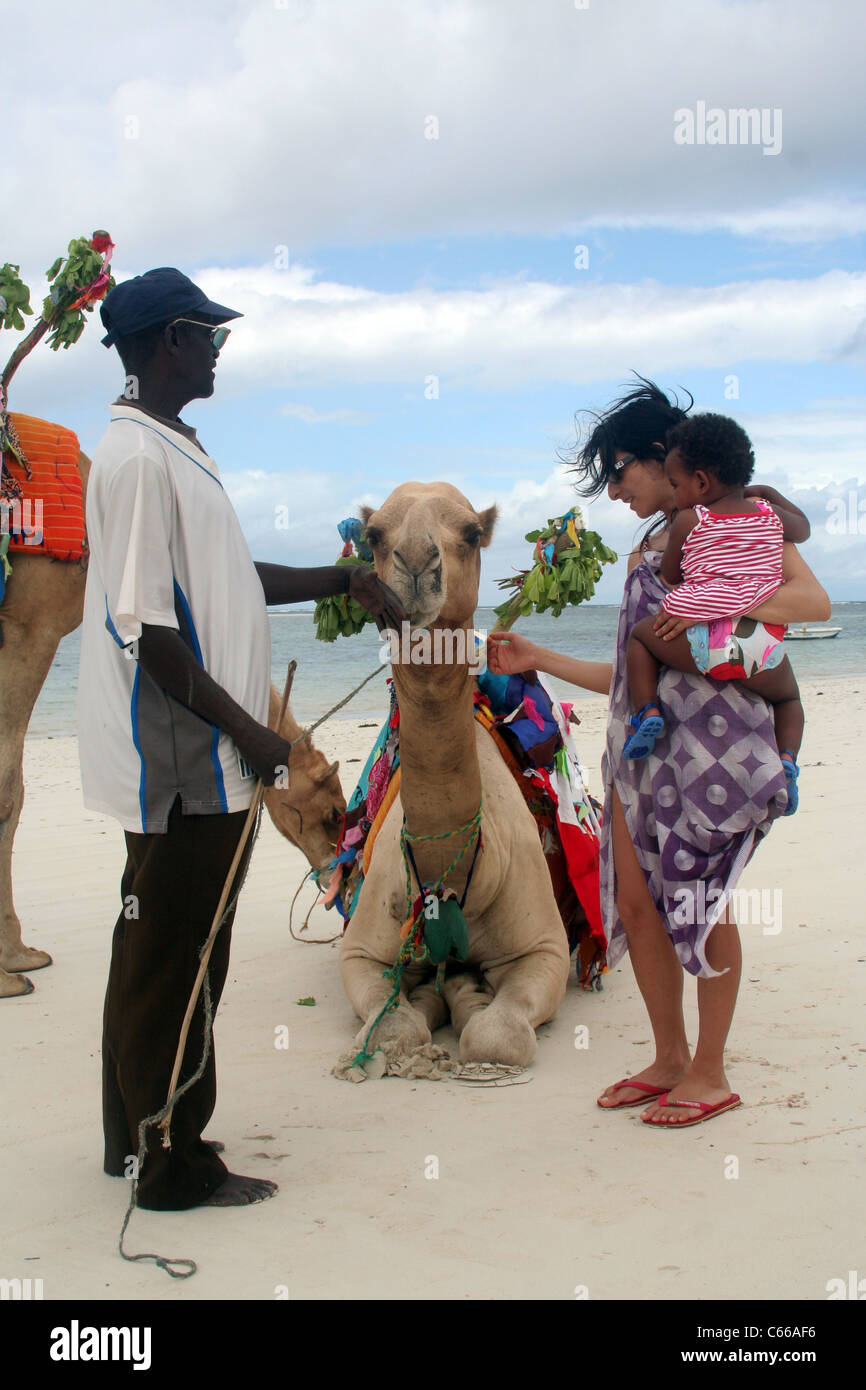 Touristen mit Kamel am Diani Beach, Mombasa, Kenia, Ostafrika Stockfoto