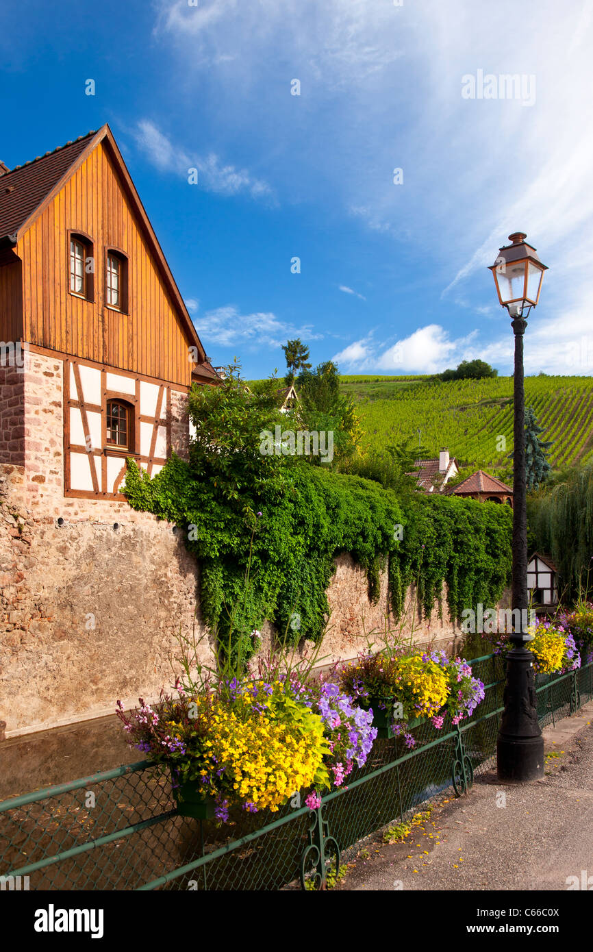 Stadt von Riquewihr mit den Weinbergen des Grand Cru hinaus Elsass Haut-Rhin-Frankreich Stockfoto