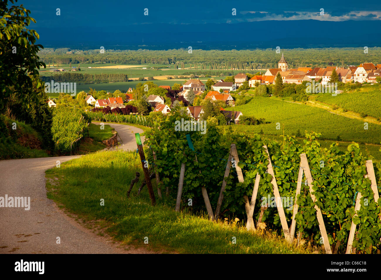Festlegen von Sonnenlicht auf die Weinberge von der Grand Cru und das Dorf Zellenberg in Haut-Rhin, Elsass Stockfoto