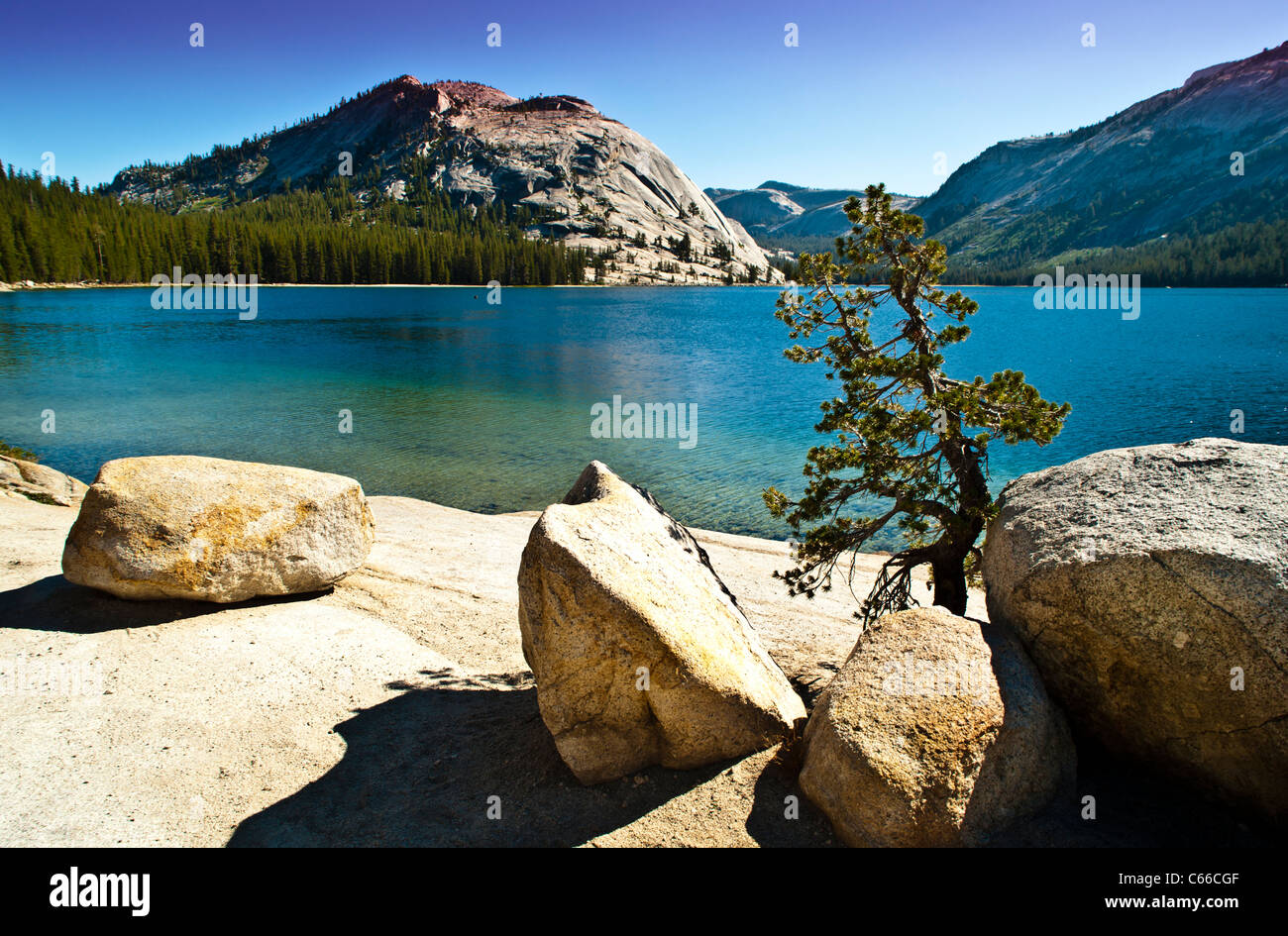 Yosemite Nationalpark Yoh-sem-It-Ee) ist ein United States National Park umfasst die östlichen Teile des Tuolumne. Stockfoto