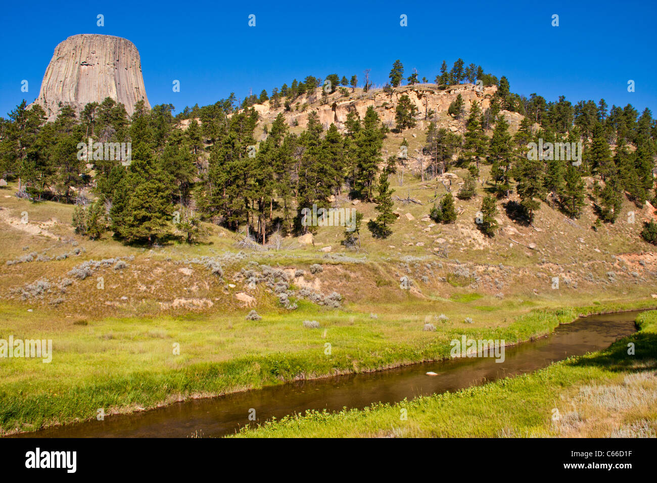 Des Teufels Tower National Monument in Wyoming, umgeben von Wäldern der Black Hills of Wyoming und Belle Fourche River. Stockfoto