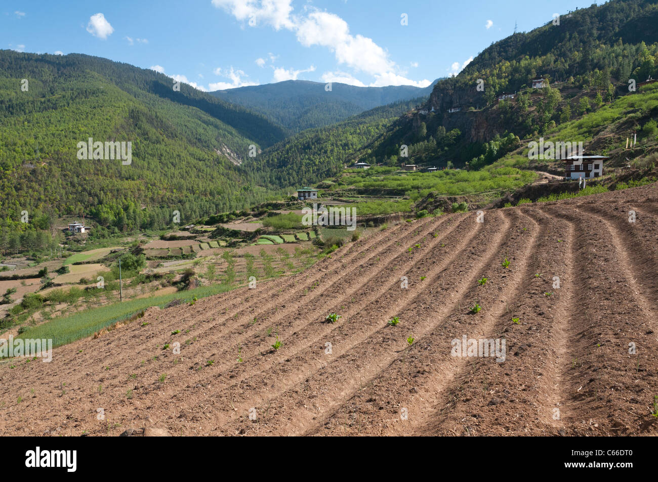 Gebjalum landwirtschaftliche Tal. Paro, Bhutan Stockfoto