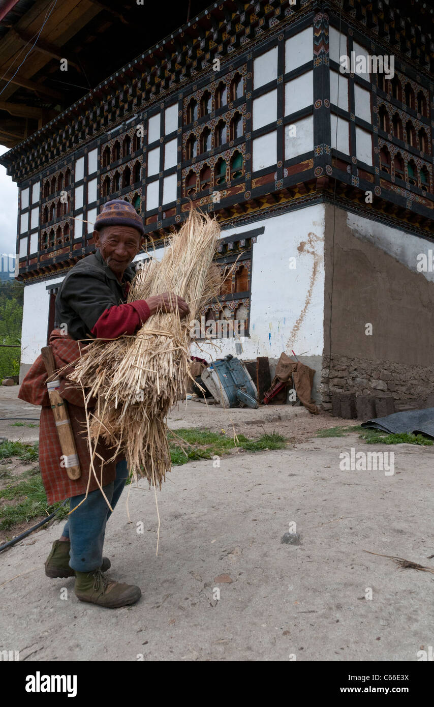 Bauern bei der Arbeit in seinem Hof. Woochu Tal. Paro. Bhutan Stockfoto