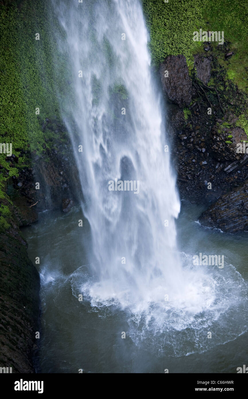 Die wunderschöne Brautschleier fällt auf den Pakoka River Makomako Waikato Nordinsel Neuseeland Stockfoto