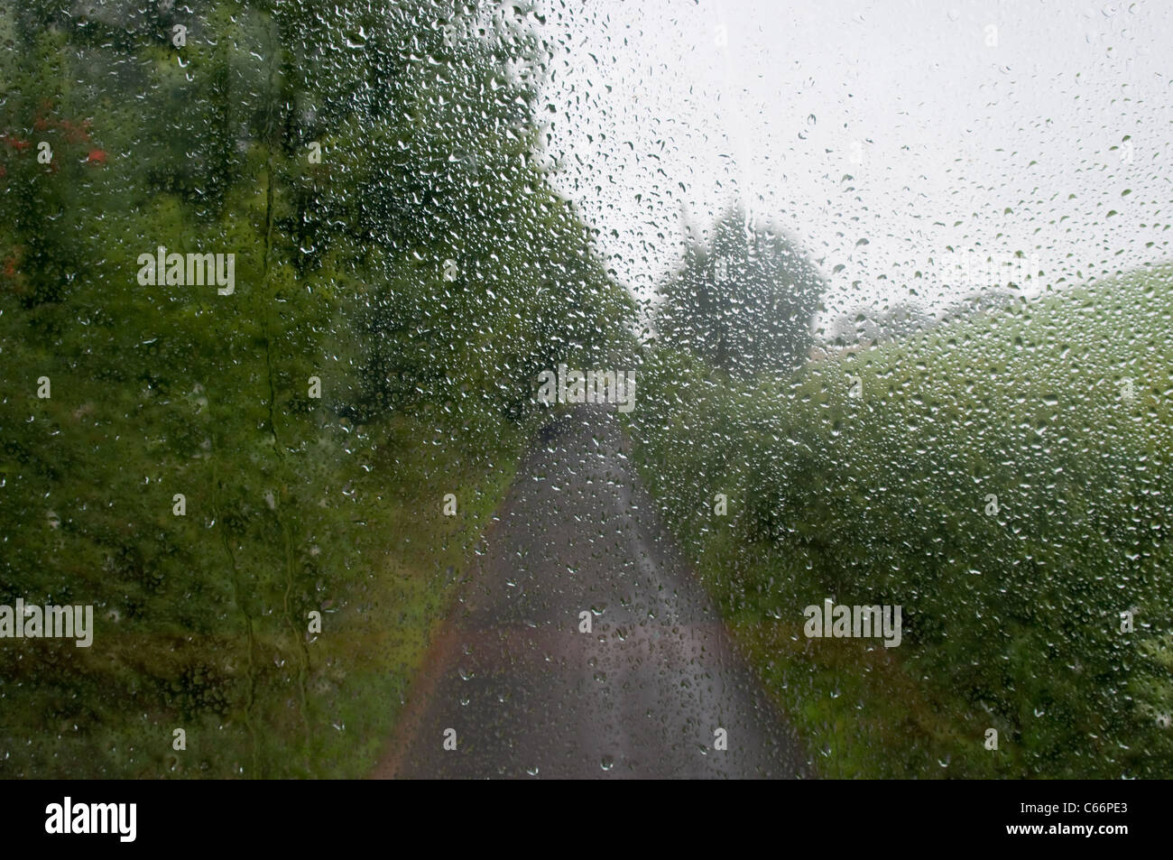 Zeigen Sie aus dem oberen Deck des Busses an, da es entlang einem Feldweg an einem regnerischen Tag wandert. die Regentropfen auf das Fenster zu sehen Stockfoto