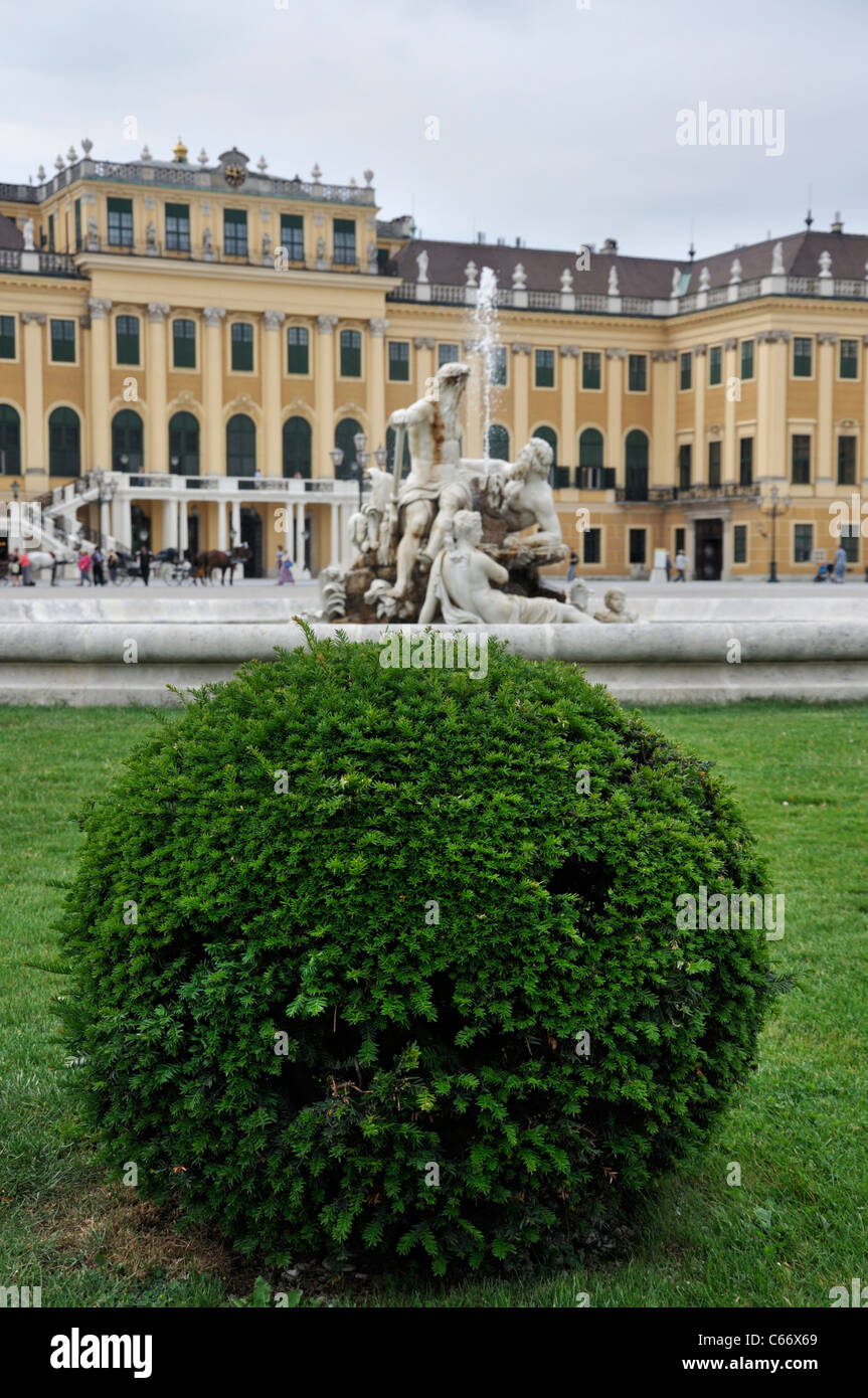 Schloss Schönbrunn Bush und Brunnen im Vordergrund, Wien, Österreich, Europa Stockfoto
