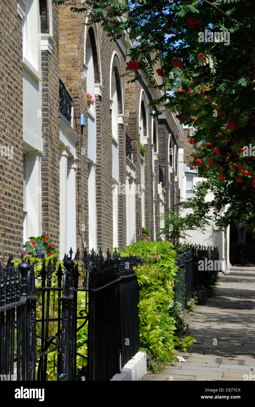Lloyd Baker Street, WC1, London, England Stockfoto