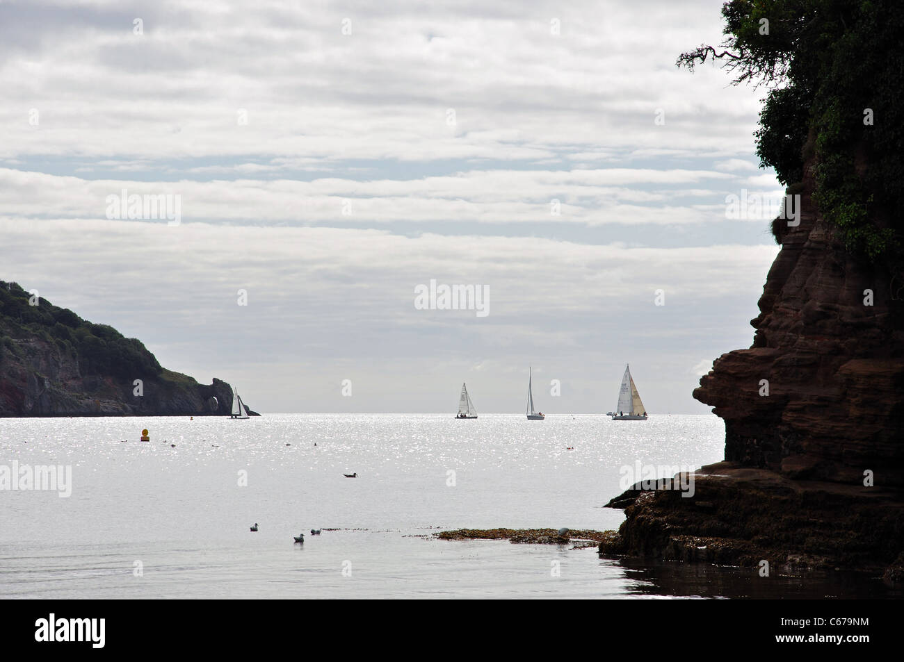 Regatta vor Küste, Torquay, Tor Bay, Devon, England, Vereinigtes Königreich Stockfoto