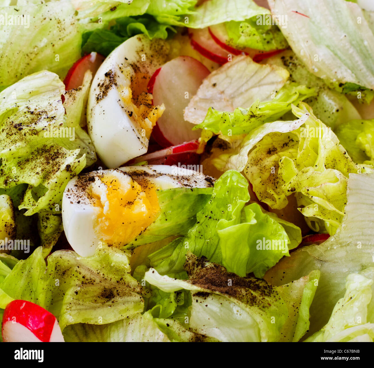 frischer grüner Salat mit Radieschen und Ei Stockfoto