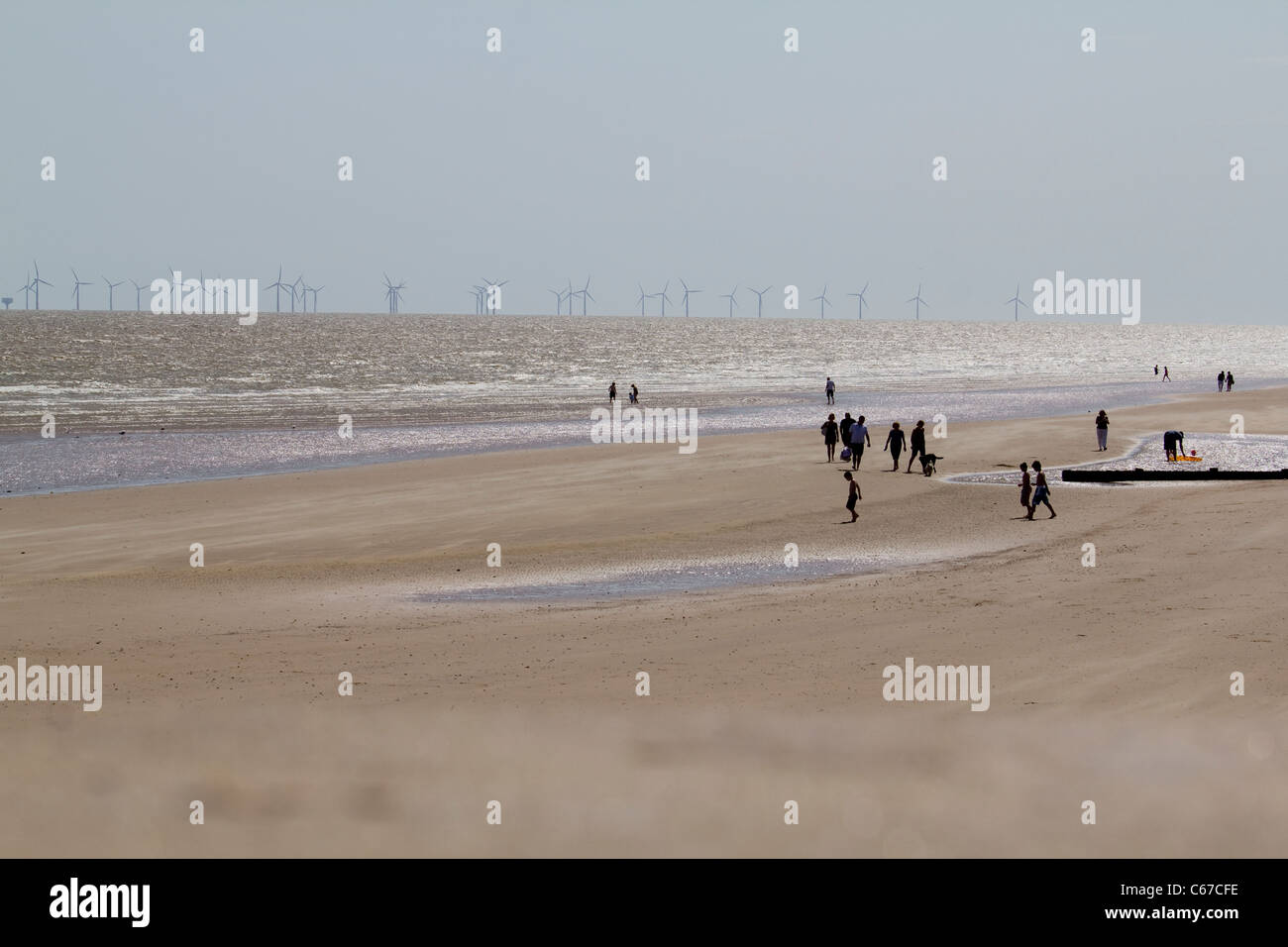 Frinton-on-Sea Beach, Essex, mit Holzkiefern an der Küste und Gunfleet Sands National Grid Windturbinen, die am Horizont in der Nordsee sichtbar sind Stockfoto