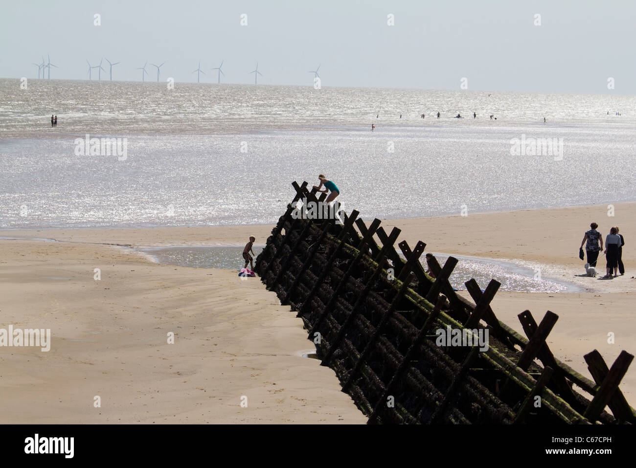 Frinton-on-Sea Beach, Essex, mit Holzkiefern an der Küste und Gunfleet Sands National Grid Windturbinen, die am Horizont in der Nordsee sichtbar sind Stockfoto