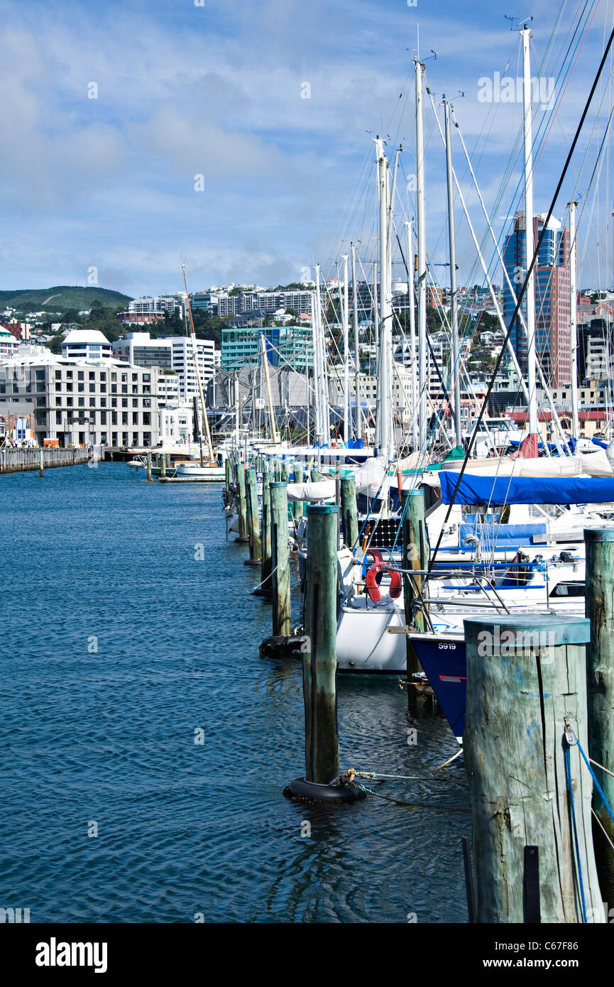 Hochsee Yachten Boote Motor und Crusiers im Chaffers Marina von Oriental Bay Wellington Nordinsel Neuseeland NZ festgemacht Stockfoto