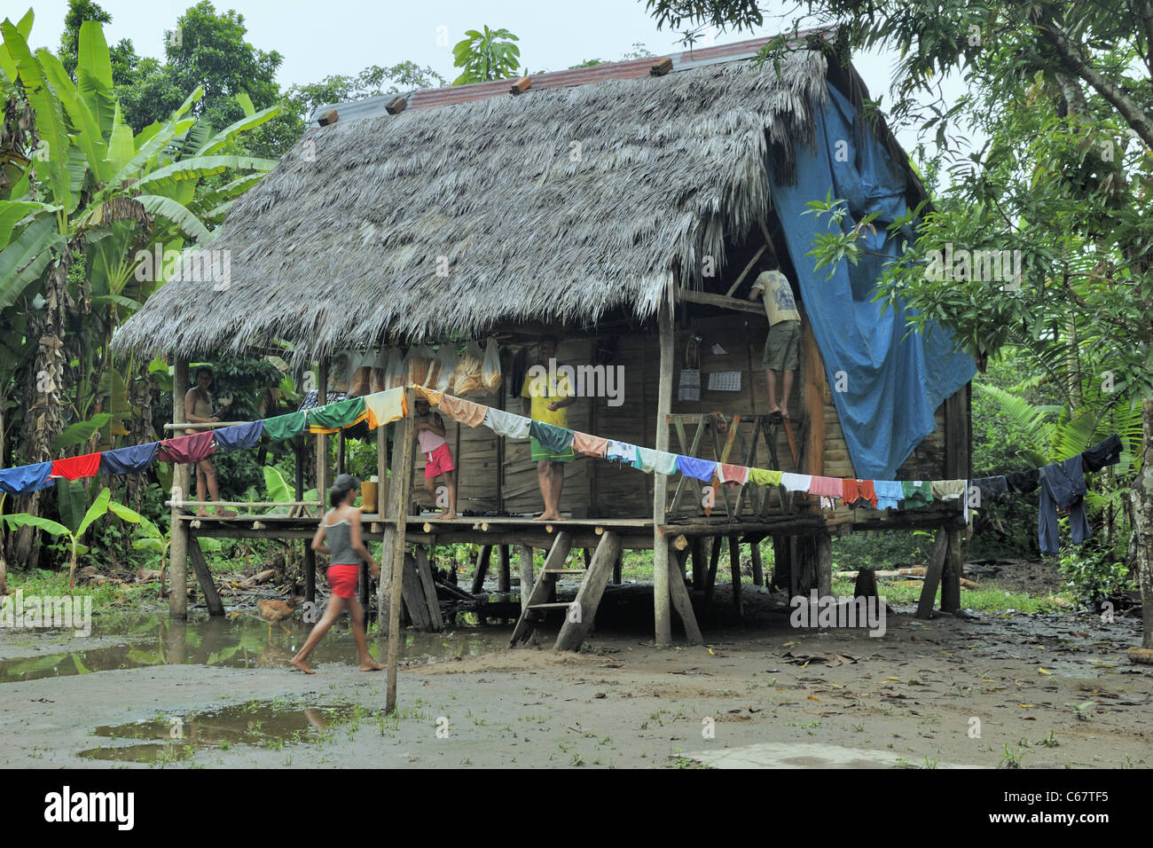 Traditionelle indische Häuser, Amazonas, Peru. Stockfoto