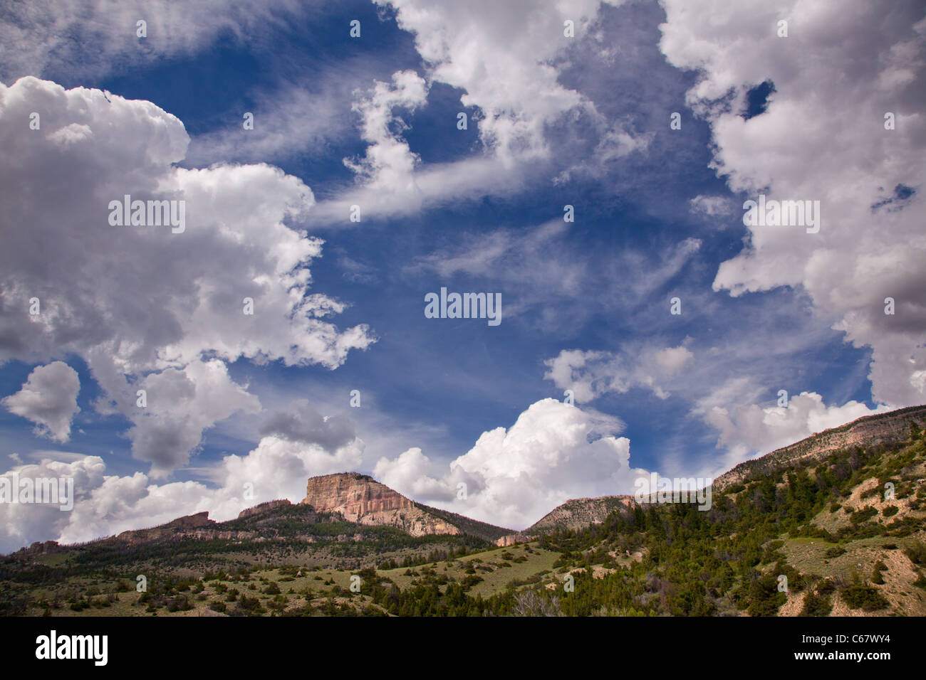 Copman Grab, Shell Falls National Recreation Trail, Bighorn Scenic Byway, Bighorn National Forest, Wyoming Stockfoto