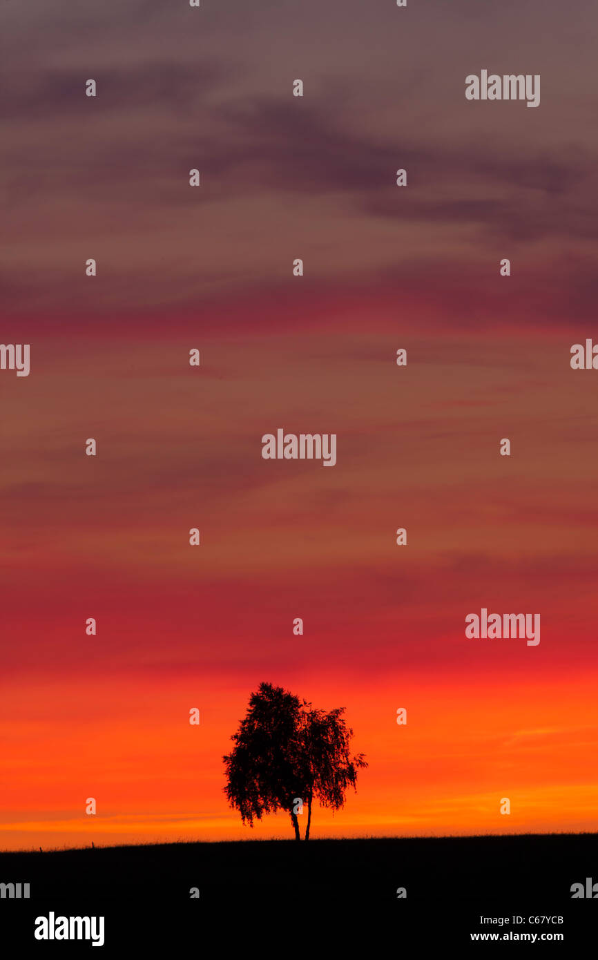 Sommer Sonnenuntergang Stockfoto