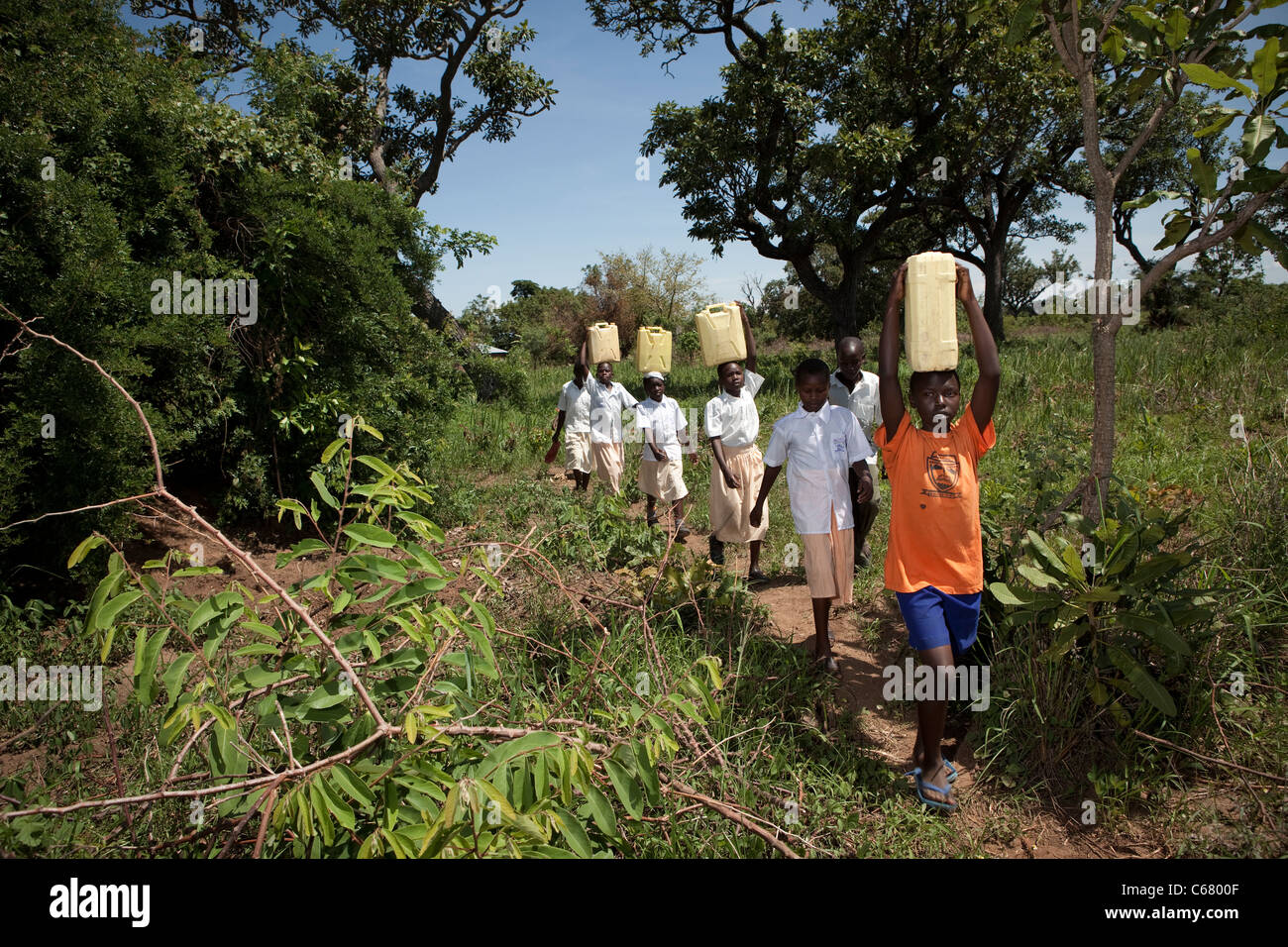 Schülerinnen und Schüler holen Wasser in Amuria, Uganda, Ostafrika. Stockfoto