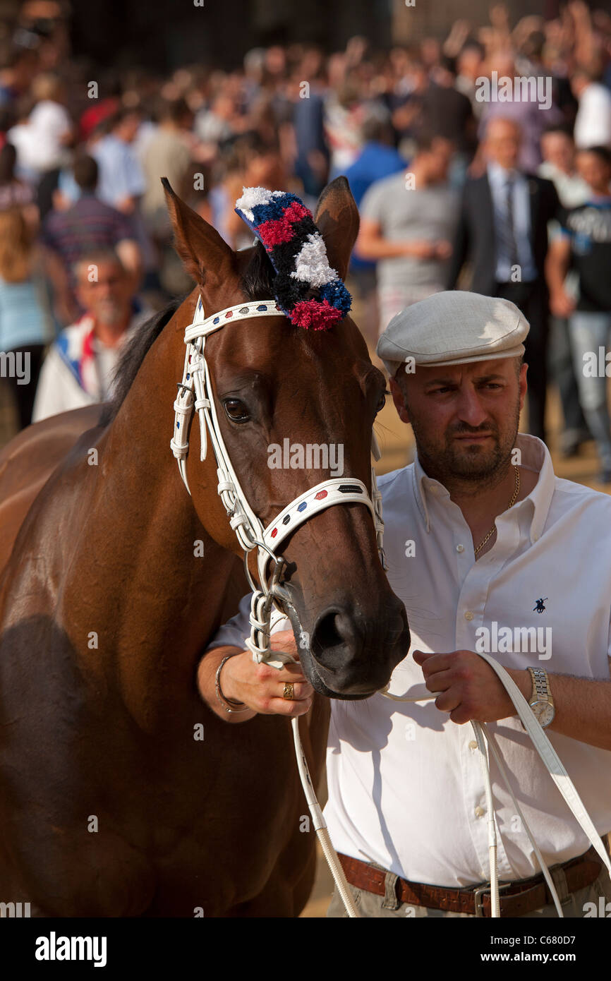 Pferd, darstellt die Istrice Contrade ist Teil des Teilnehmers Terziere di Camollia in der Palio von Siena Stockfoto