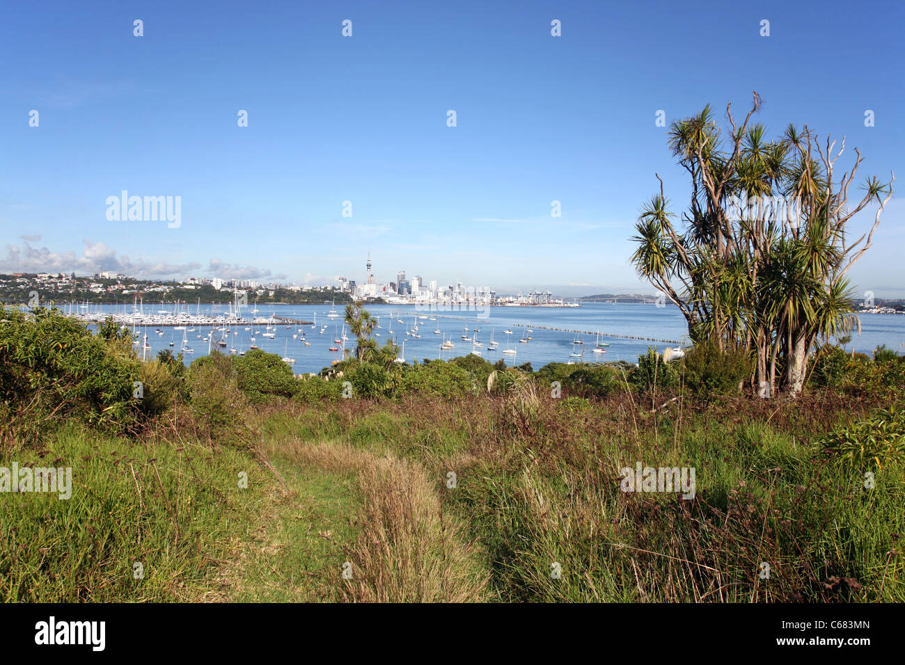 Auckland Stadtzentrum von Takaparawha Regional Park gesehen. Stockfoto