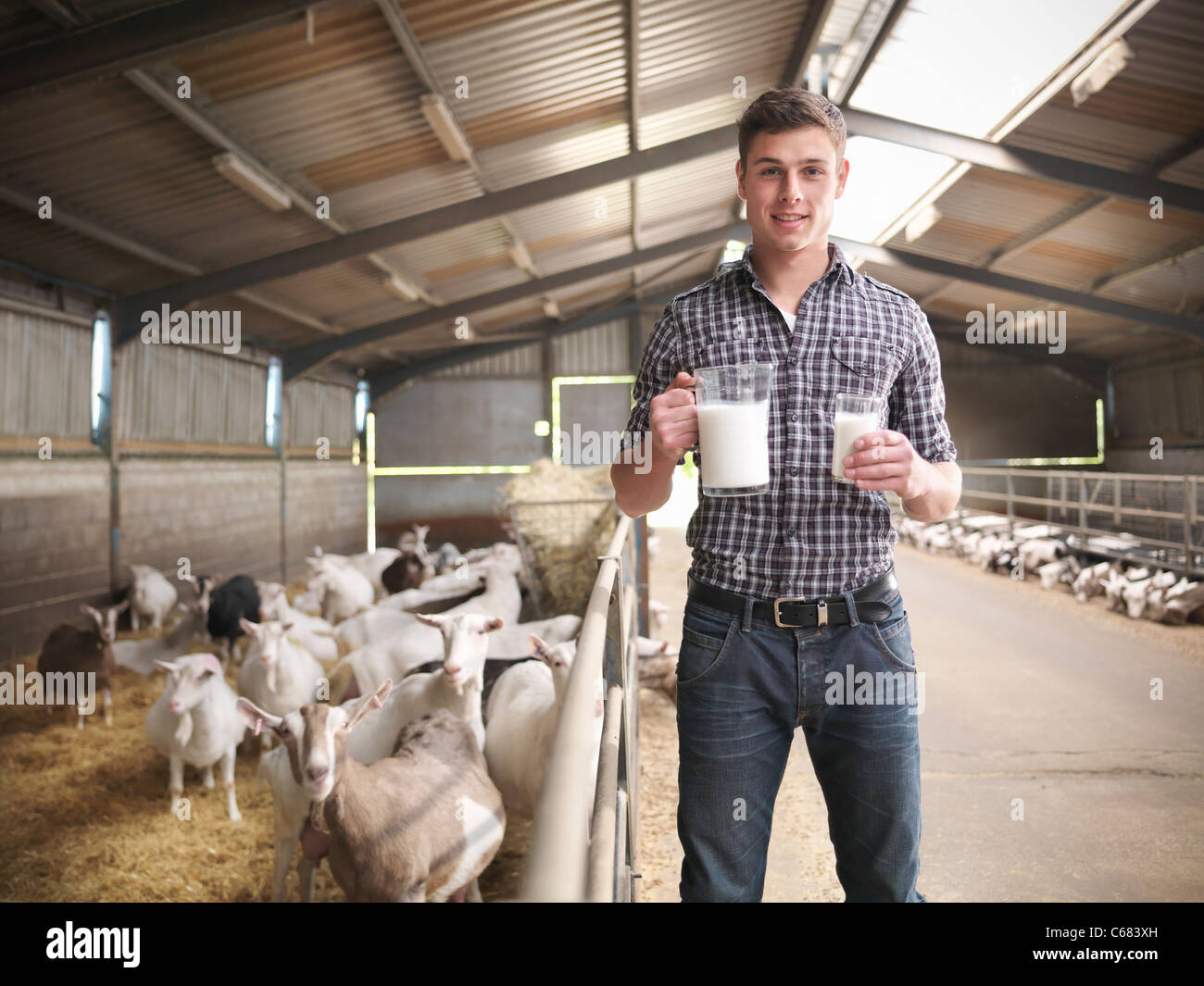 Arbeiter mit Glas Ziegenmilch auf Bauernhof Stockfoto