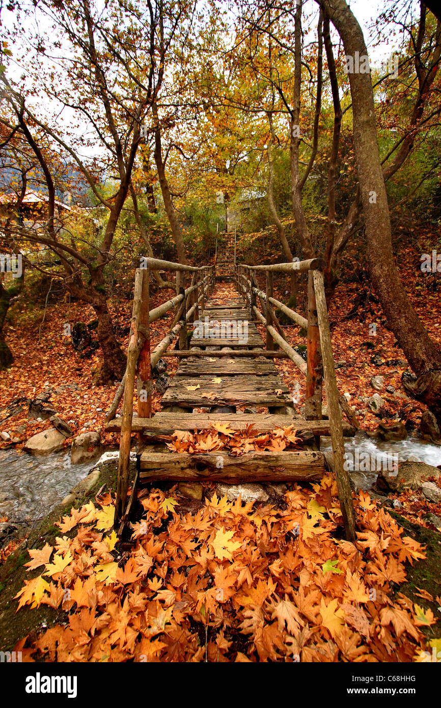 Eine hölzerne Brücke am Eingang von der abgelegenen Dorf von Athamania, Trikala Präfektur, Griechenland, umgeben von Laub. Stockfoto