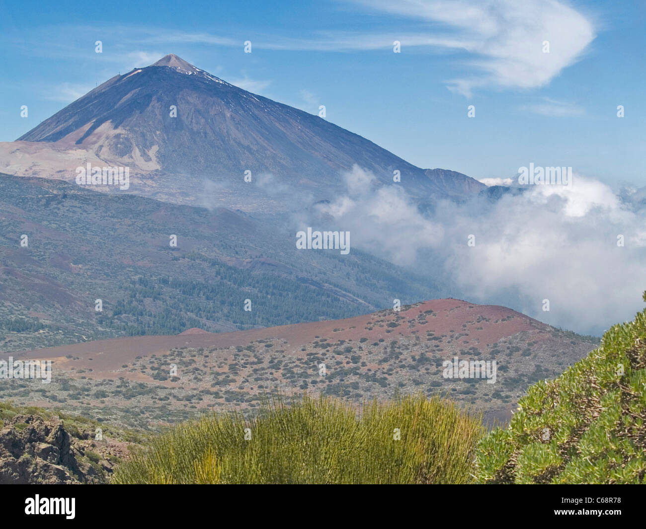 Der Teide Nationalpark Teneriffa, Kanarische Inseln-Spanien-Europa Stockfoto