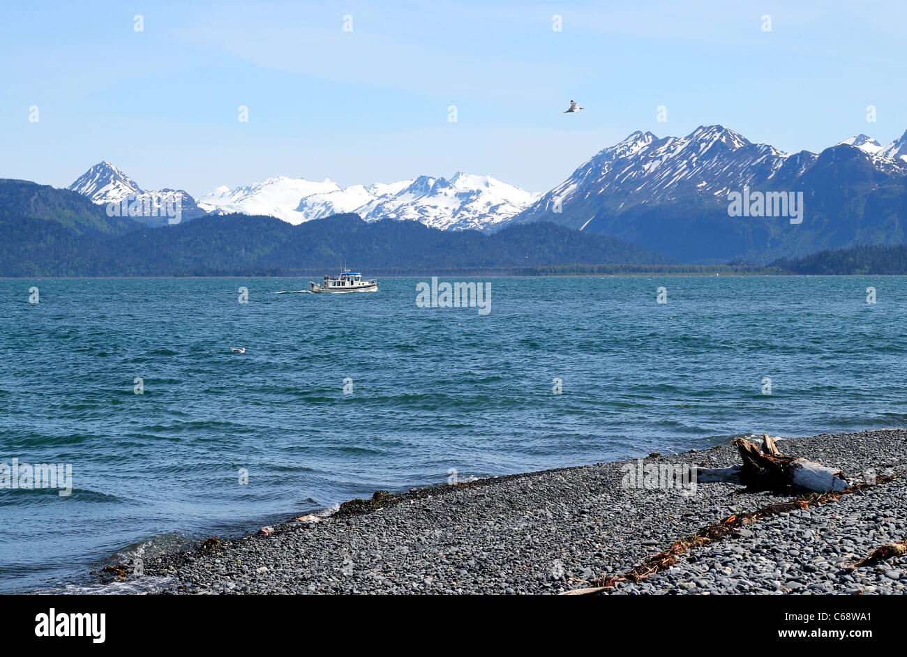 Weißes Boot nahe dem Strand in der Kachemak Bay, Alaska an einem sonnigen Tag Stockfoto