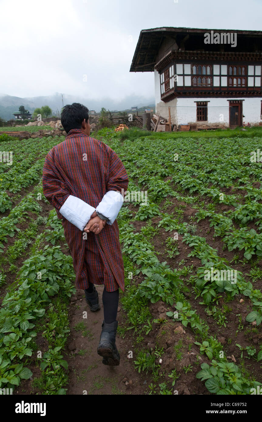 Gyeltshen ein örtlicher Bauer in Gangtay Dorf. Phobjikha Tal. Bhutan Stockfoto