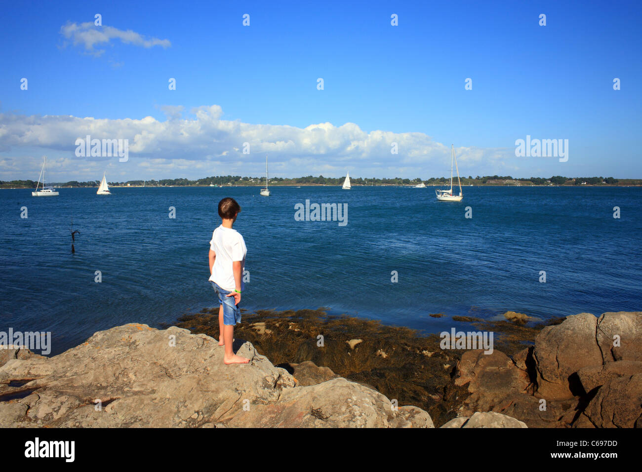 Junge betrachten des Golfe du Morbihan von Ile de Berder, Larmor-Baden, Morbihan, Bretagne, Frankreich Stockfoto